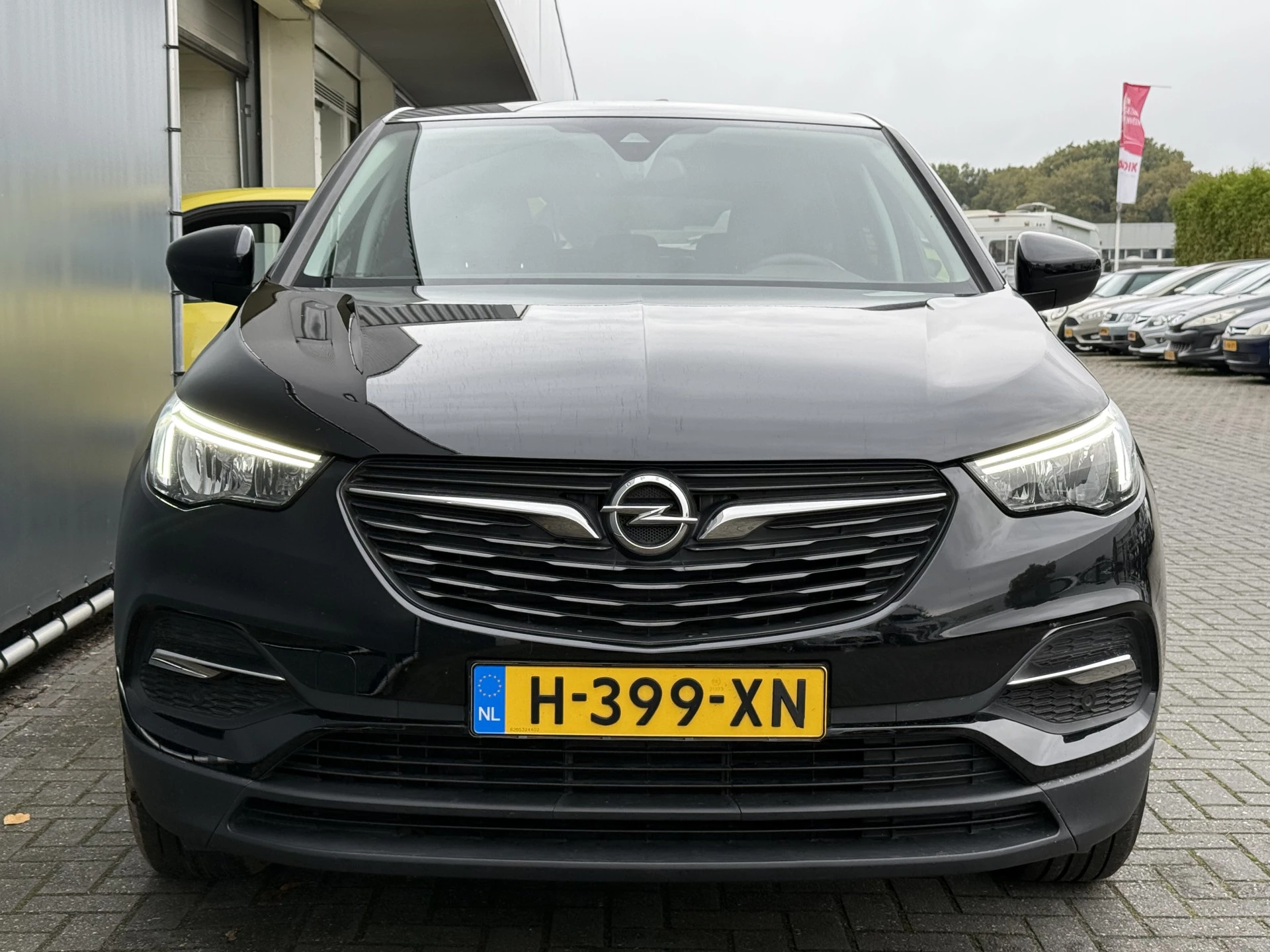 Hoofdafbeelding Opel Grandland X