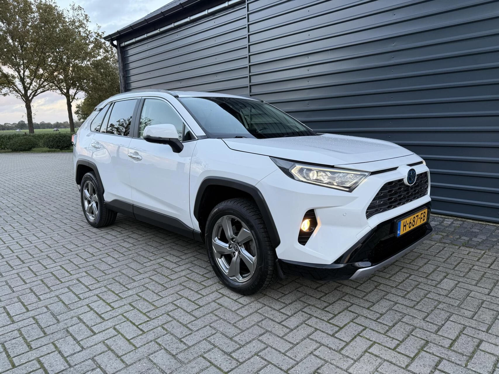 Hoofdafbeelding Toyota RAV4
