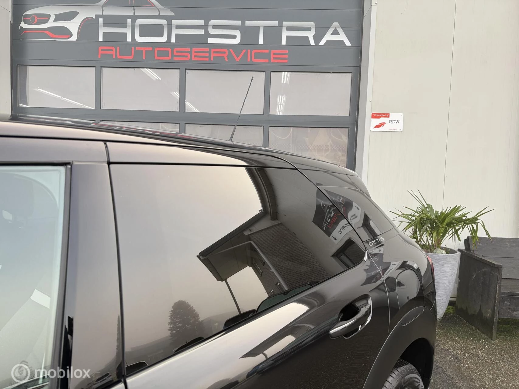 Hoofdafbeelding Citroën C4 Cactus