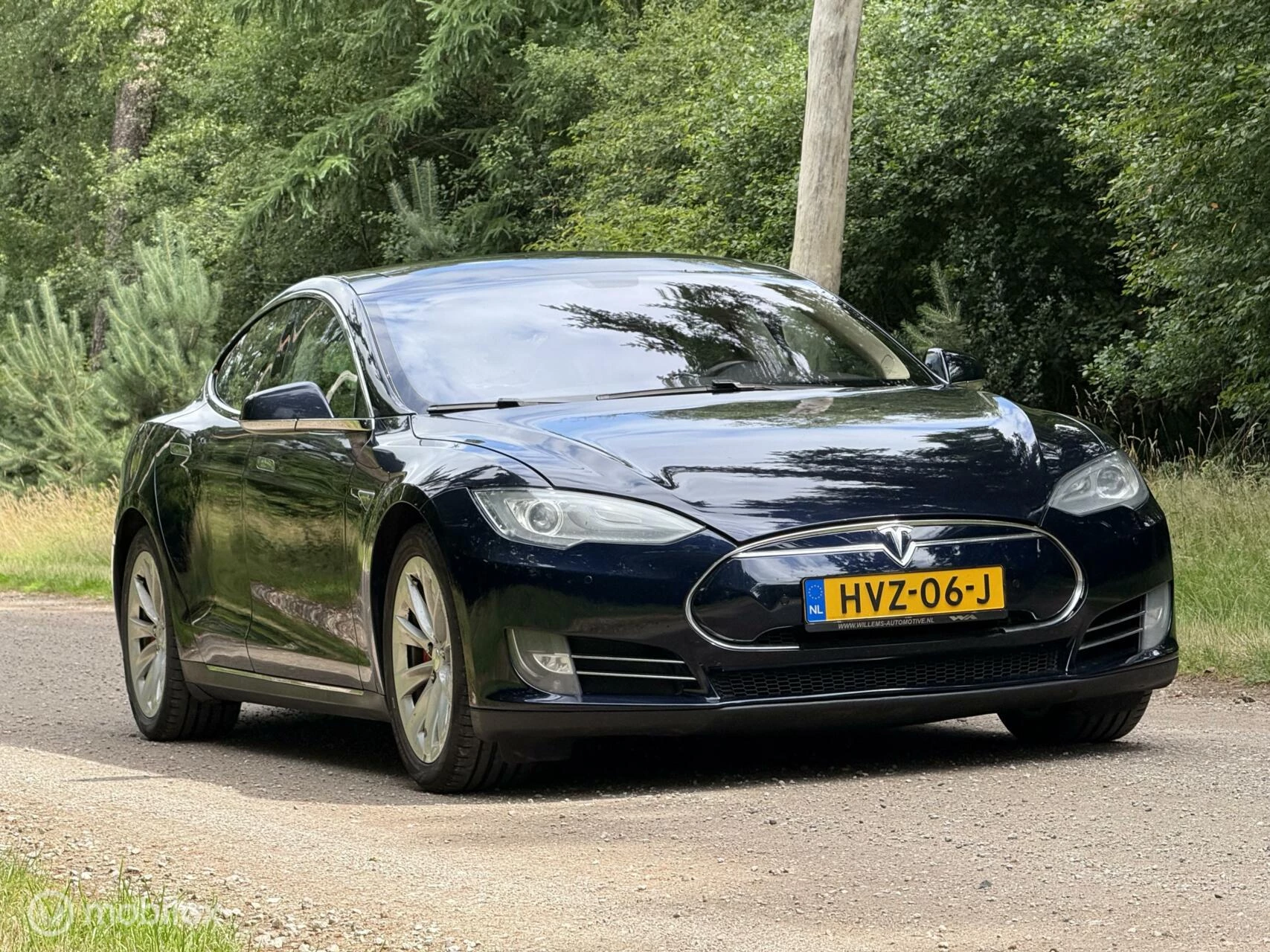 Hoofdafbeelding Tesla Model S