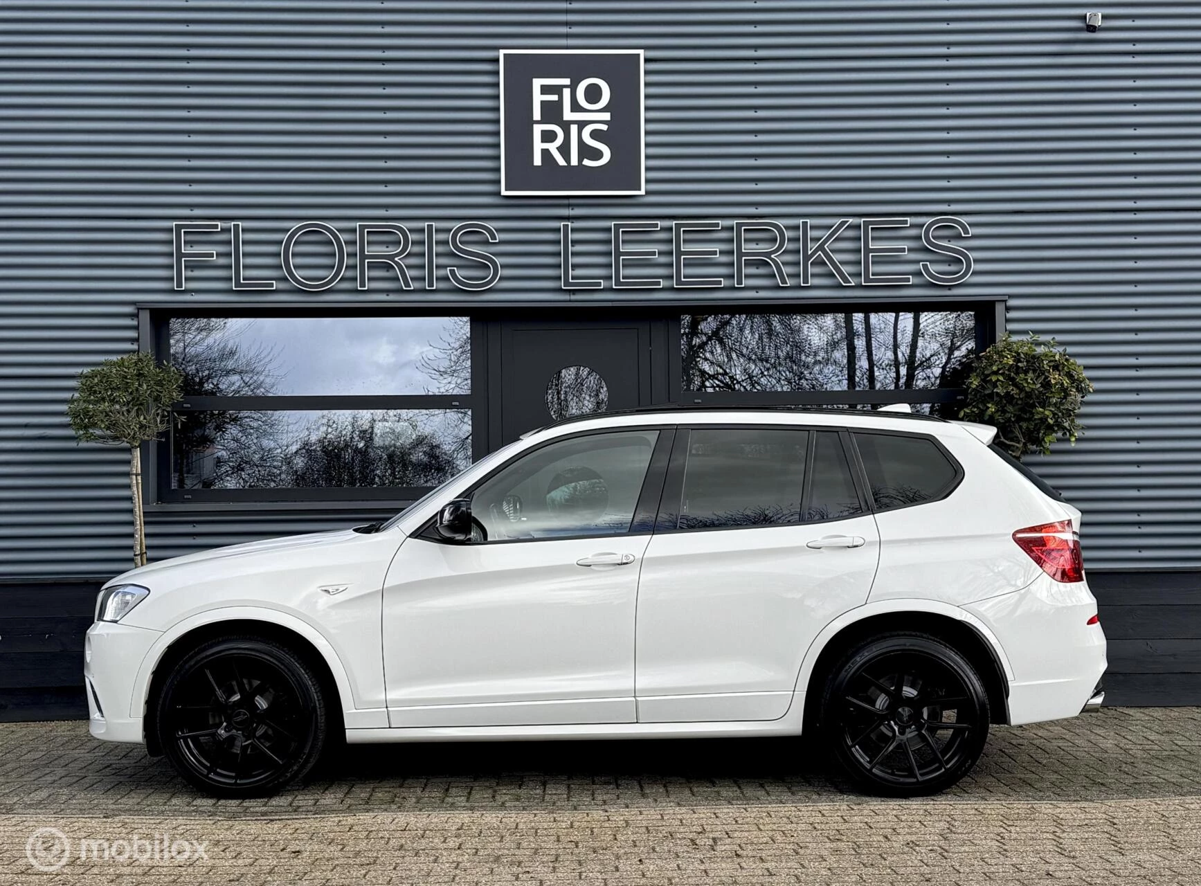 Hoofdafbeelding BMW X3