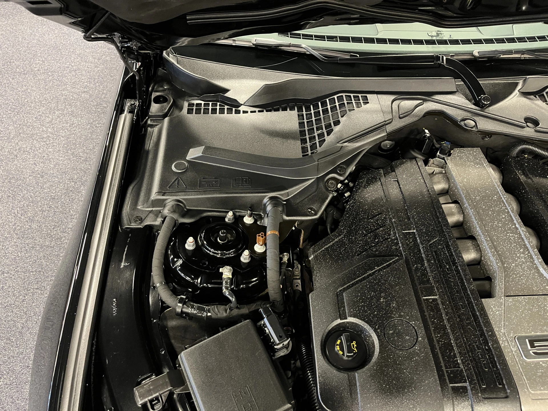 Hoofdafbeelding Ford Mustang