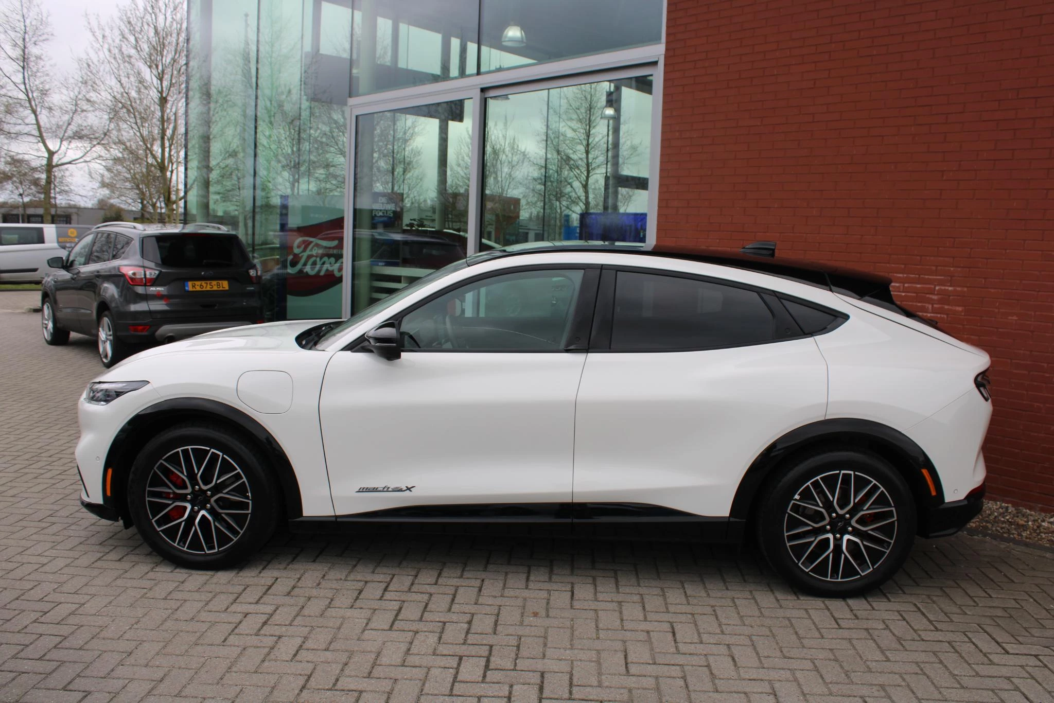 Hoofdafbeelding Ford Mustang Mach-E