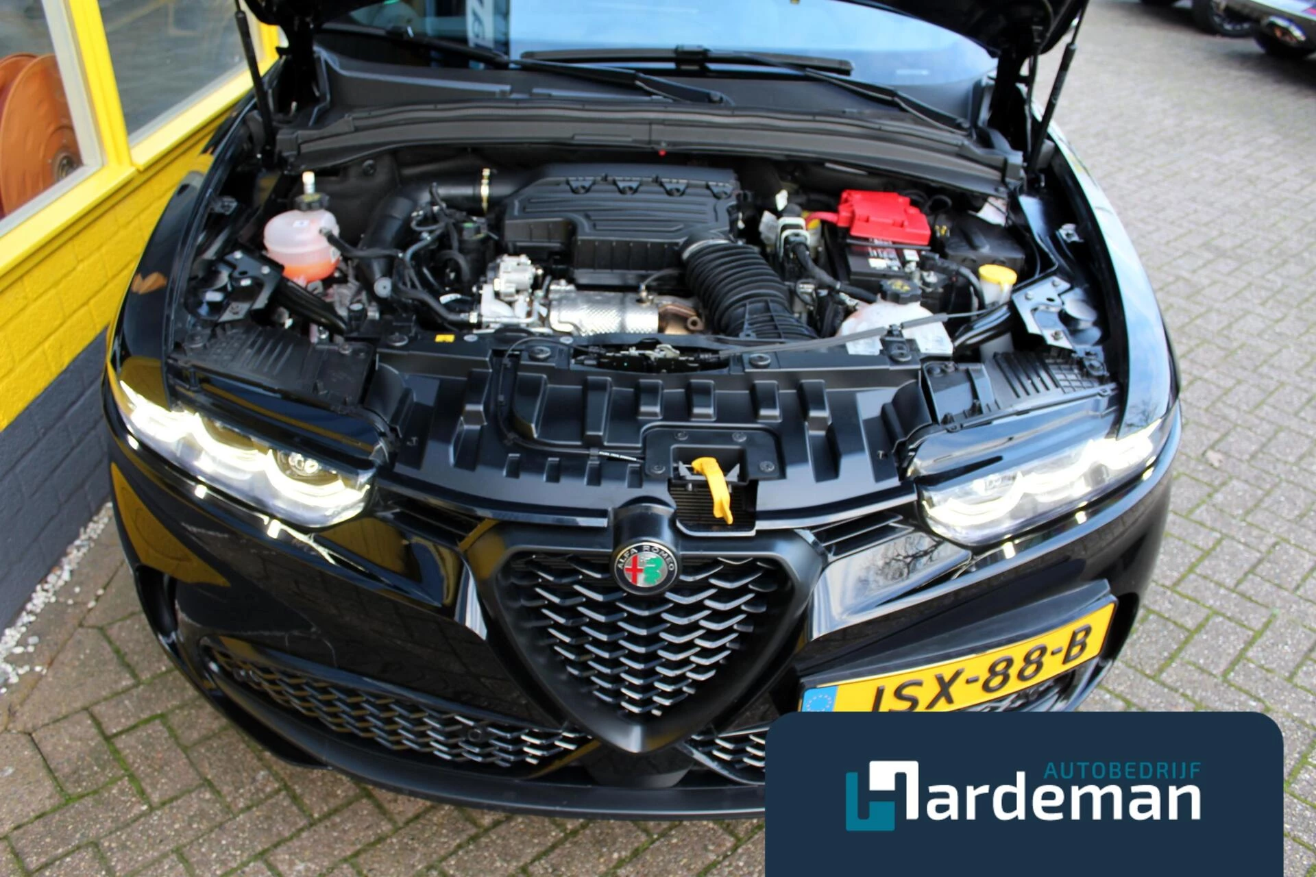 Hoofdafbeelding Alfa Romeo Tonale