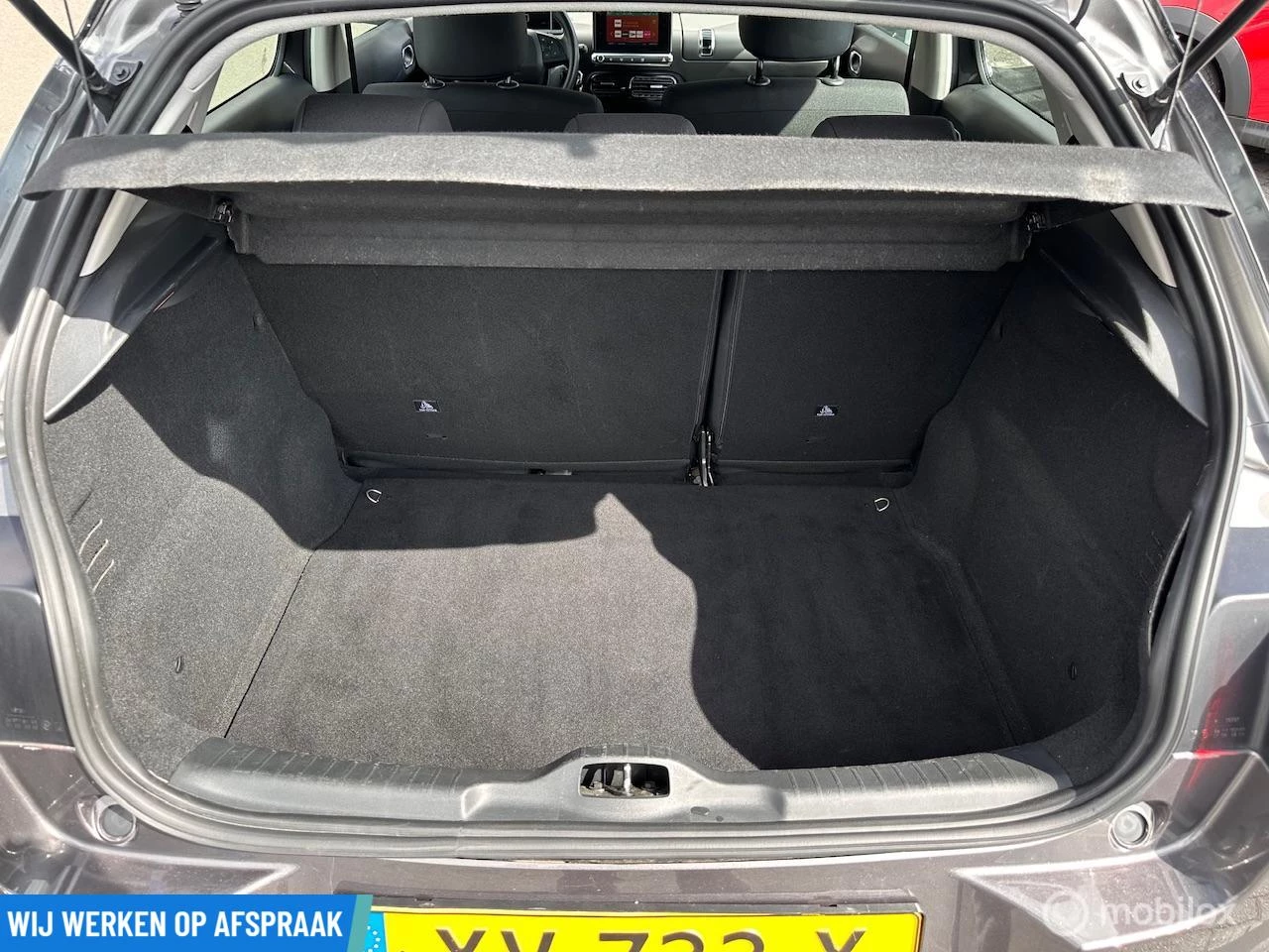 Hoofdafbeelding Citroën C4 Cactus