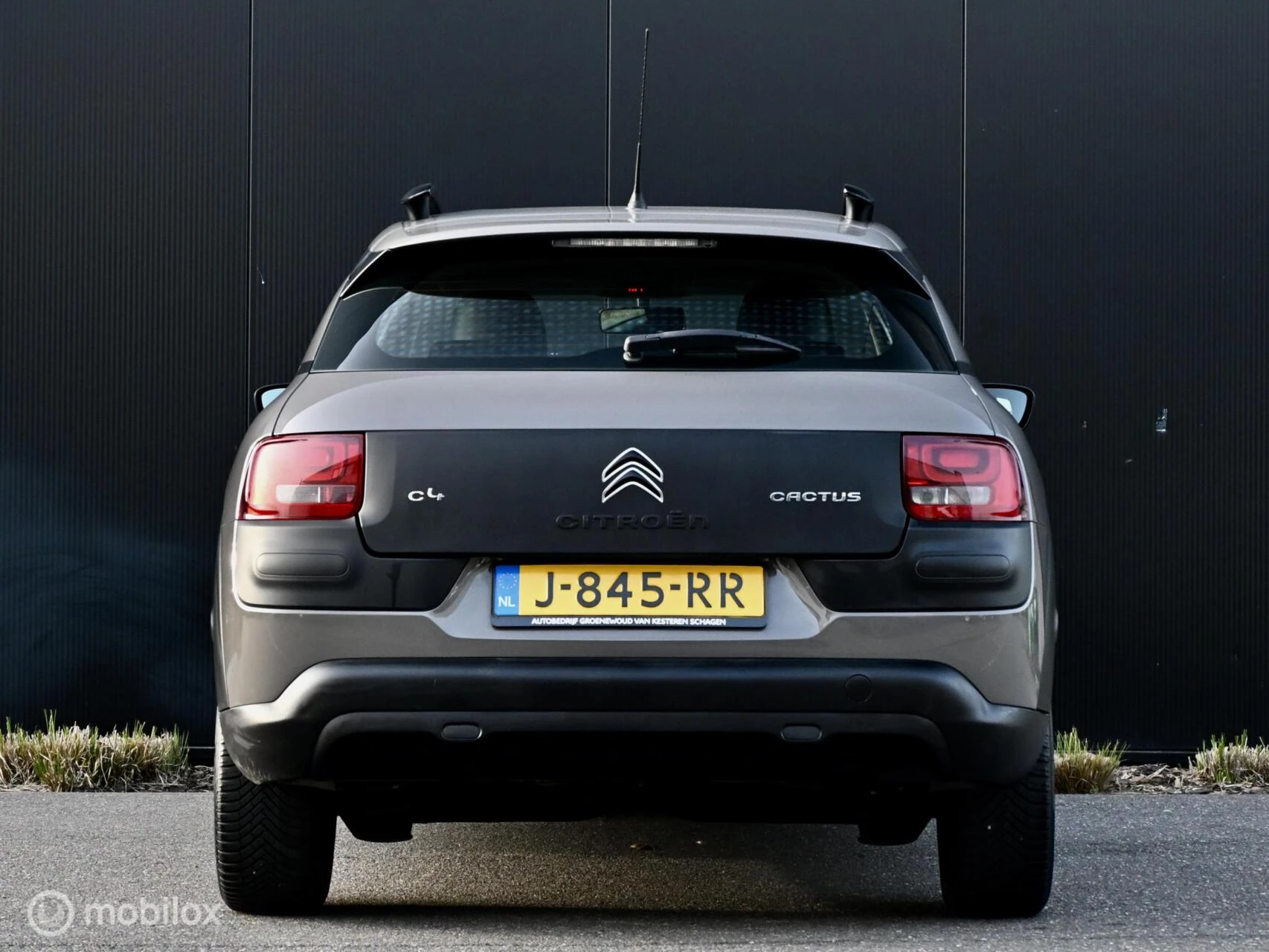 Hoofdafbeelding Citroën C4 Cactus