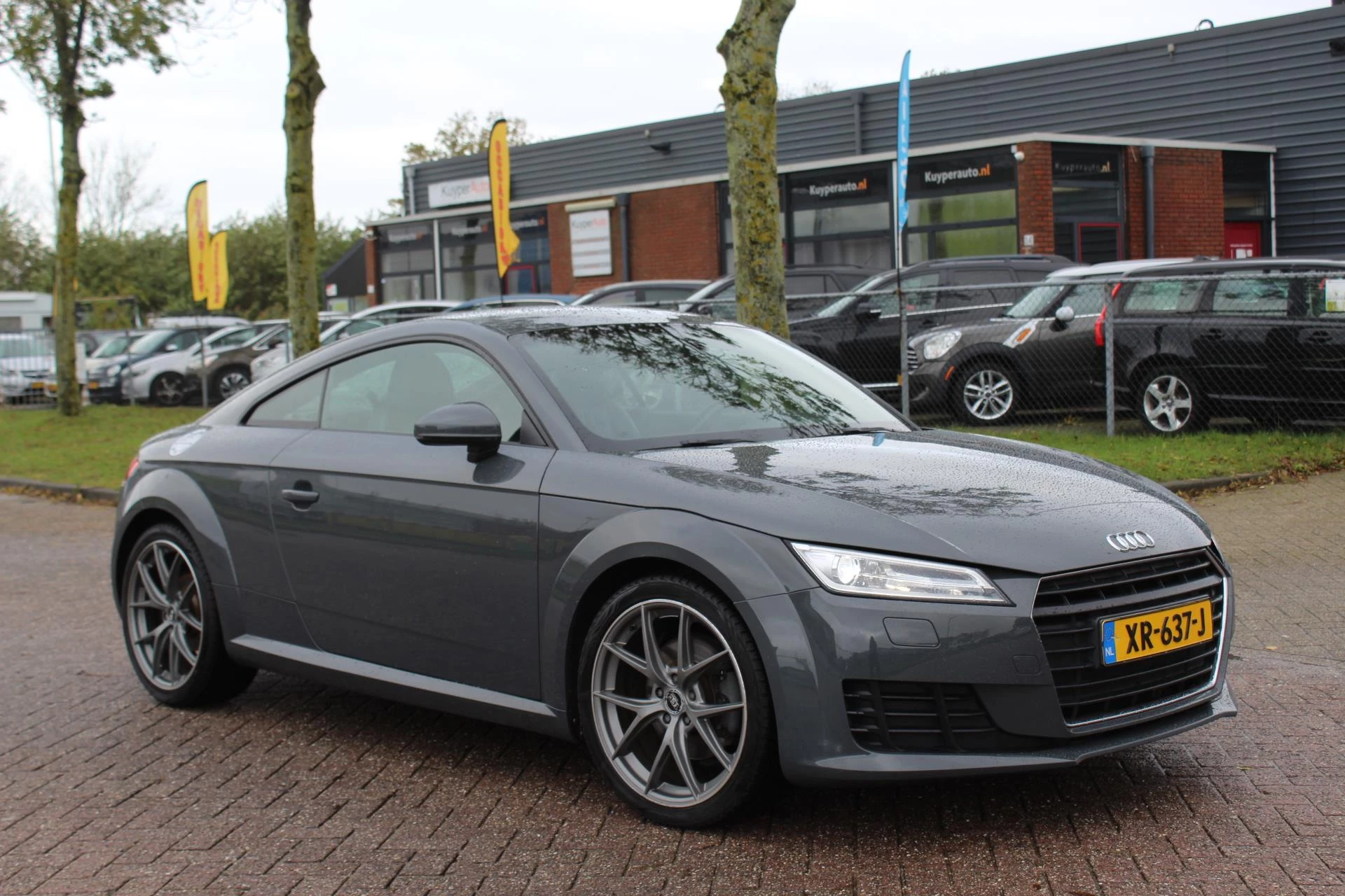 Hoofdafbeelding Audi TT