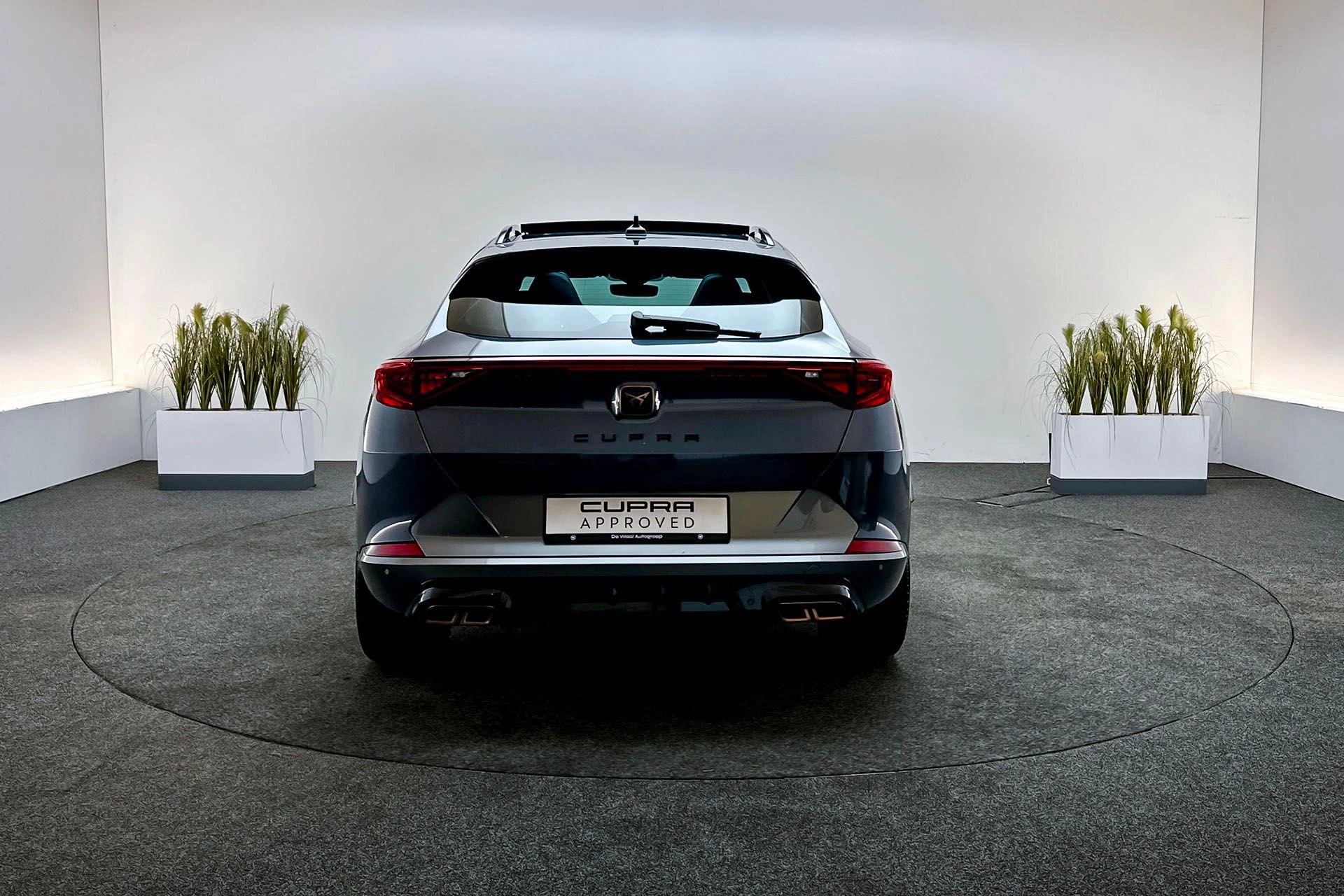 Hoofdafbeelding CUPRA Formentor