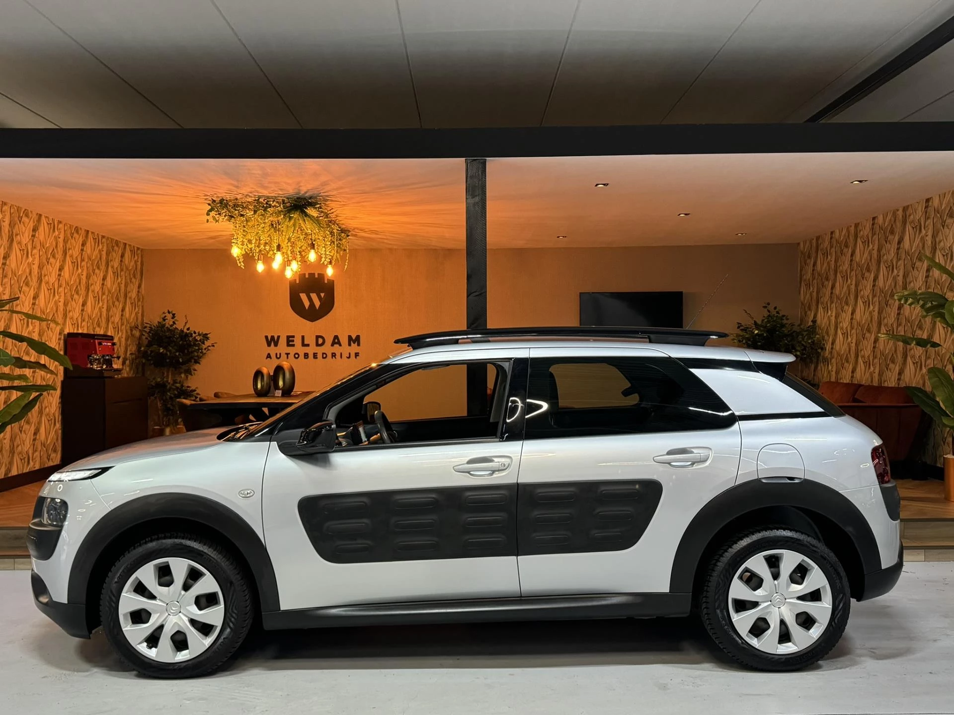 Hoofdafbeelding Citroën C4 Cactus