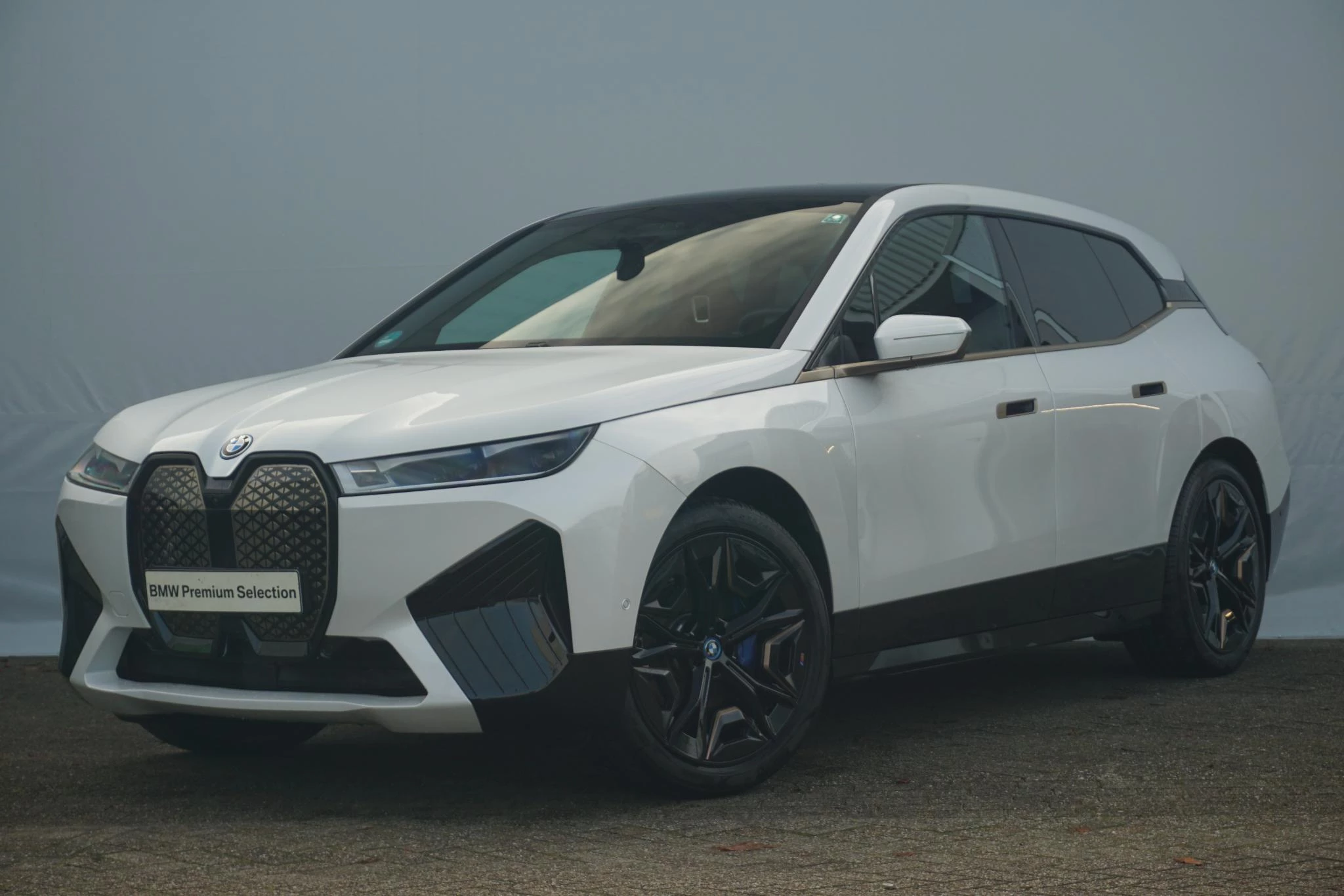 Hoofdafbeelding BMW iX