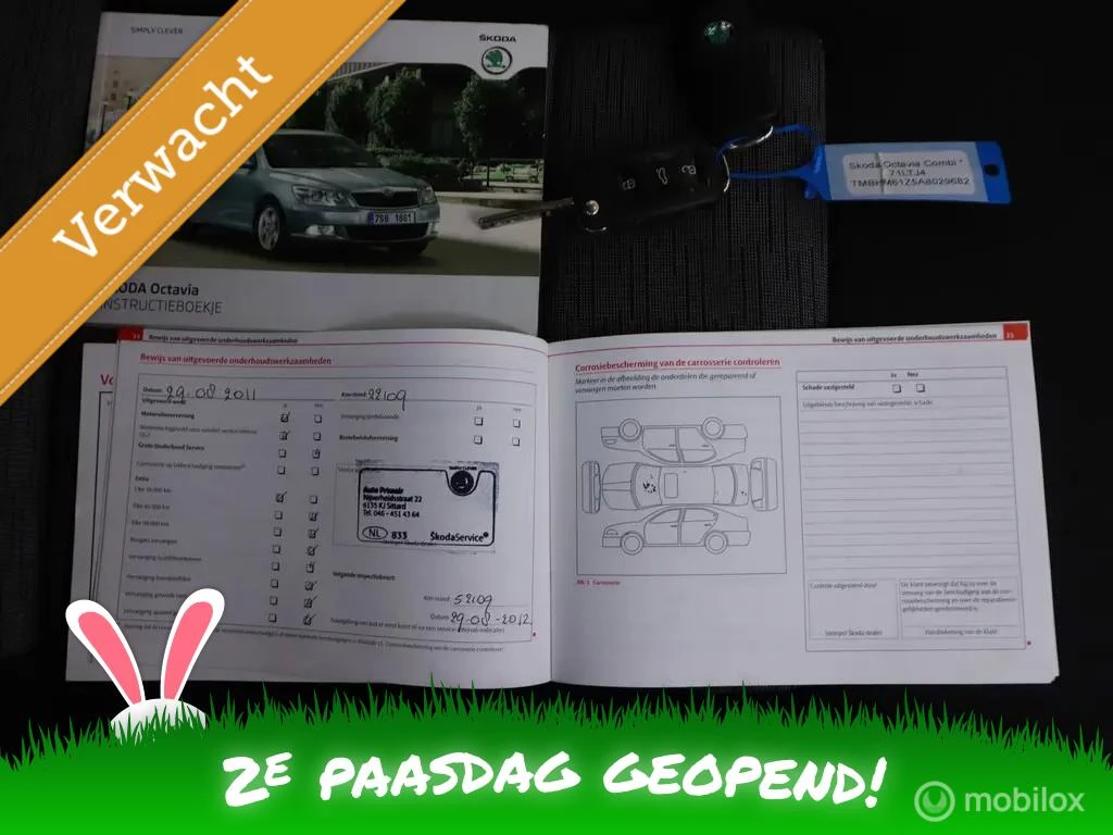 Hoofdafbeelding Škoda Octavia