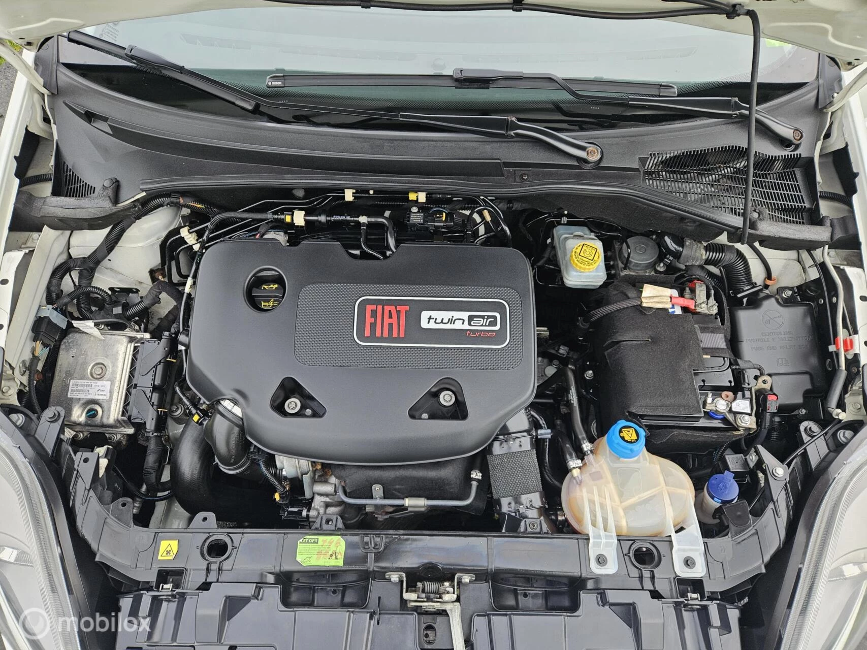 Hoofdafbeelding Fiat Punto