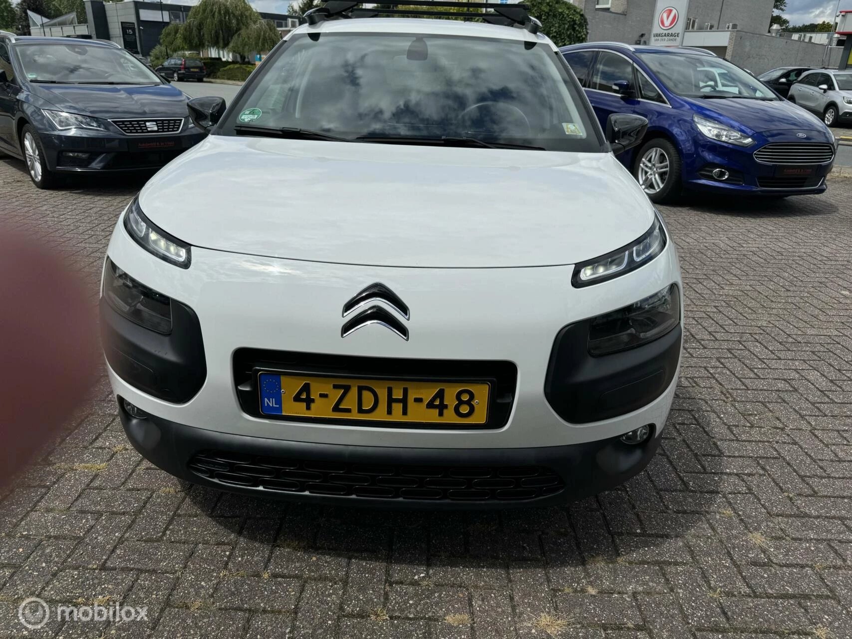 Hoofdafbeelding Citroën C4 Cactus