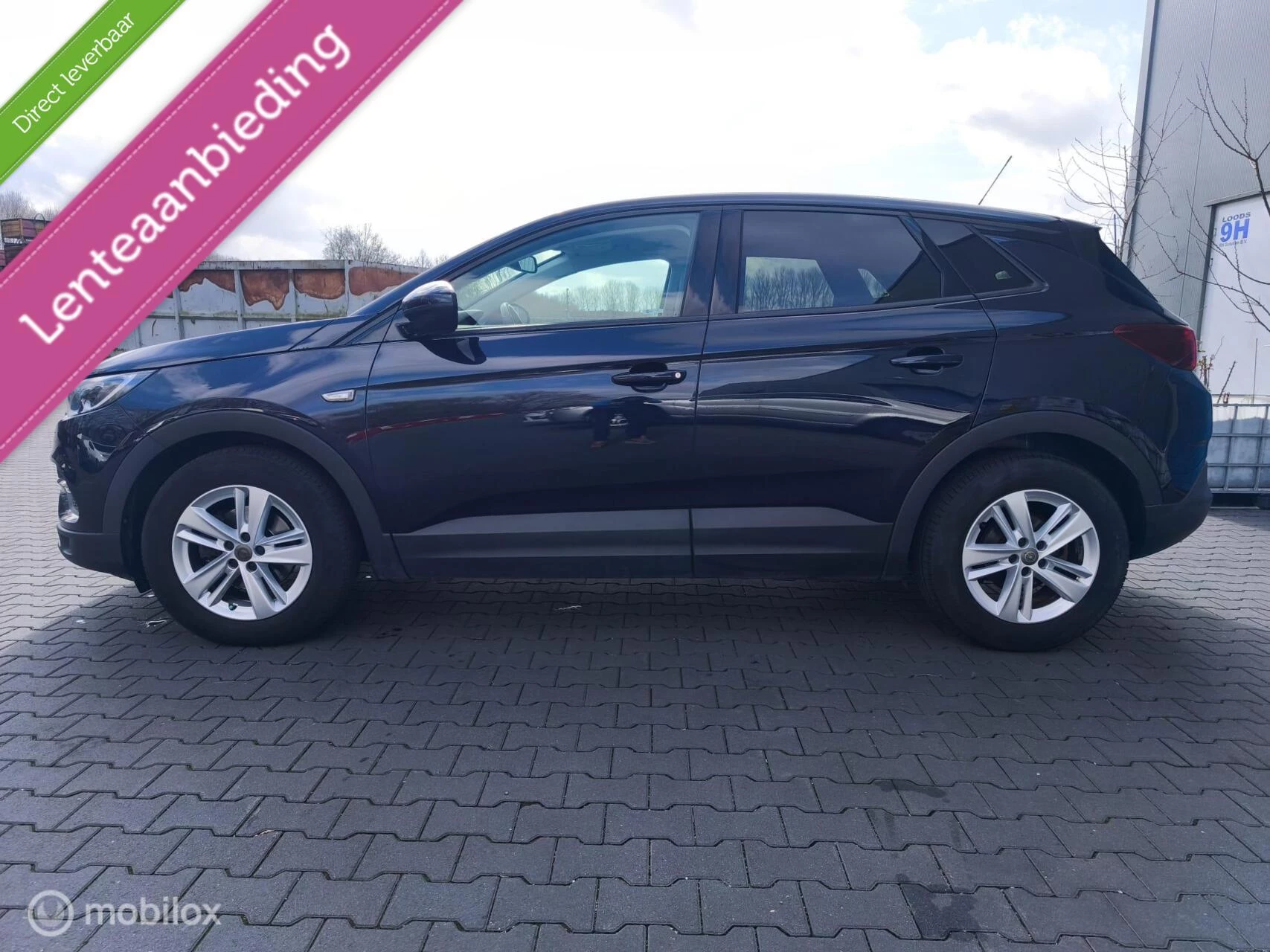 Hoofdafbeelding Opel Grandland X