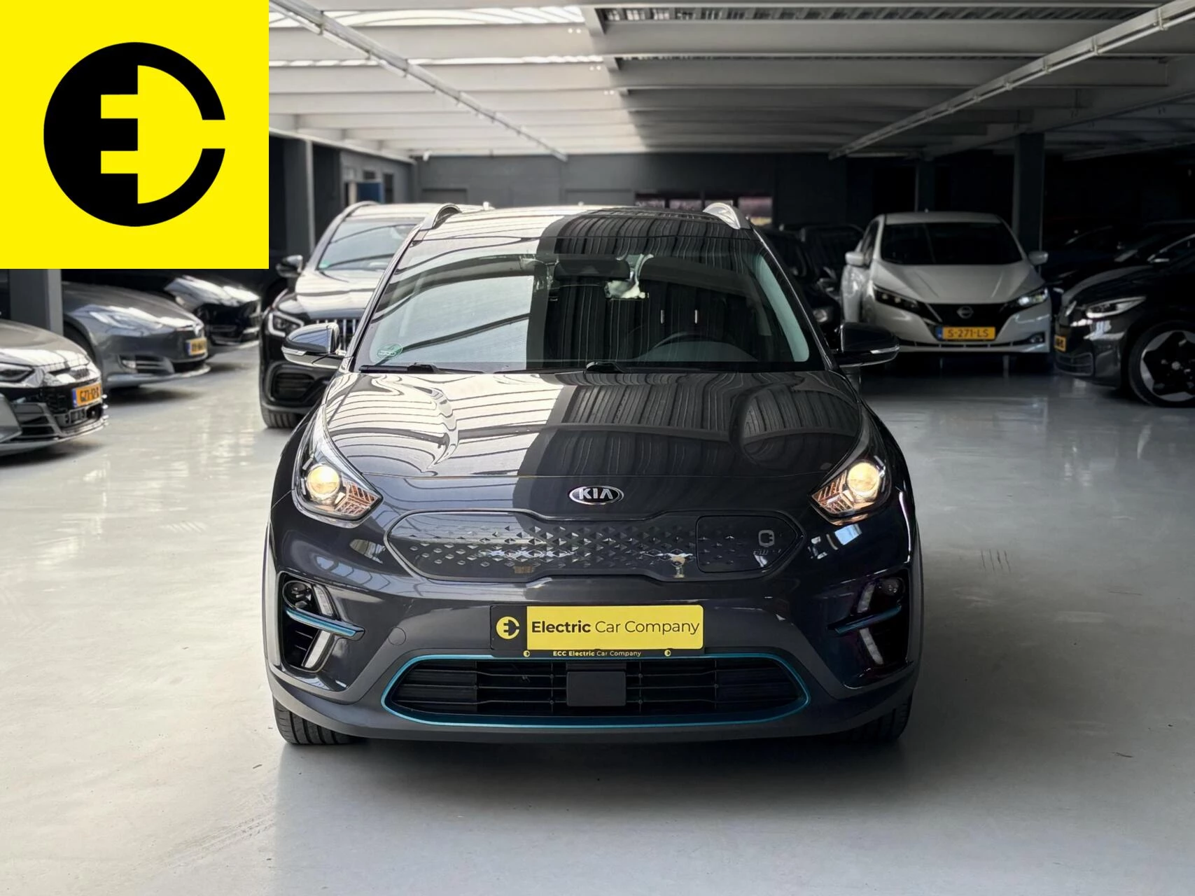 Hoofdafbeelding Kia e-Niro