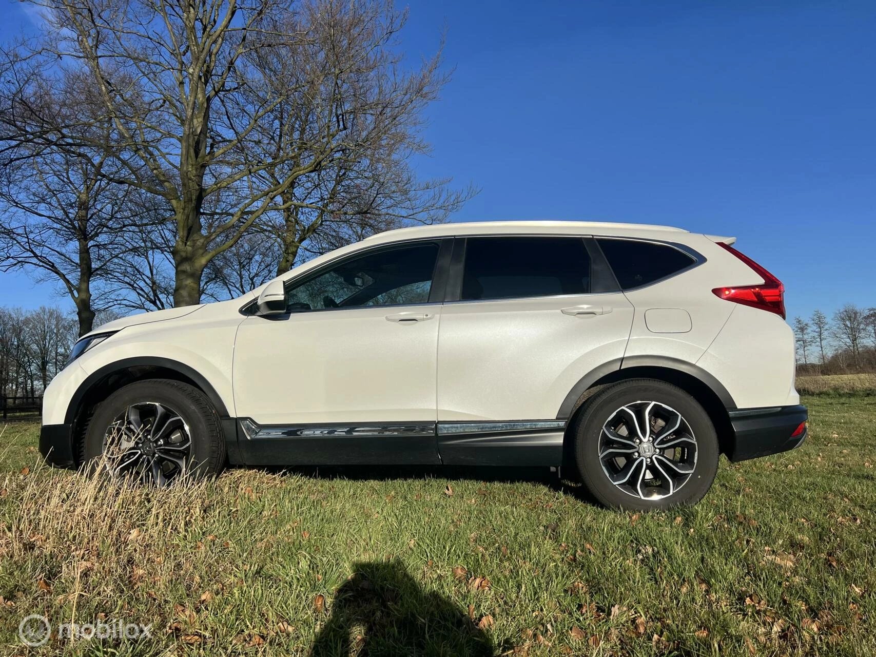 Hoofdafbeelding Honda CR-V