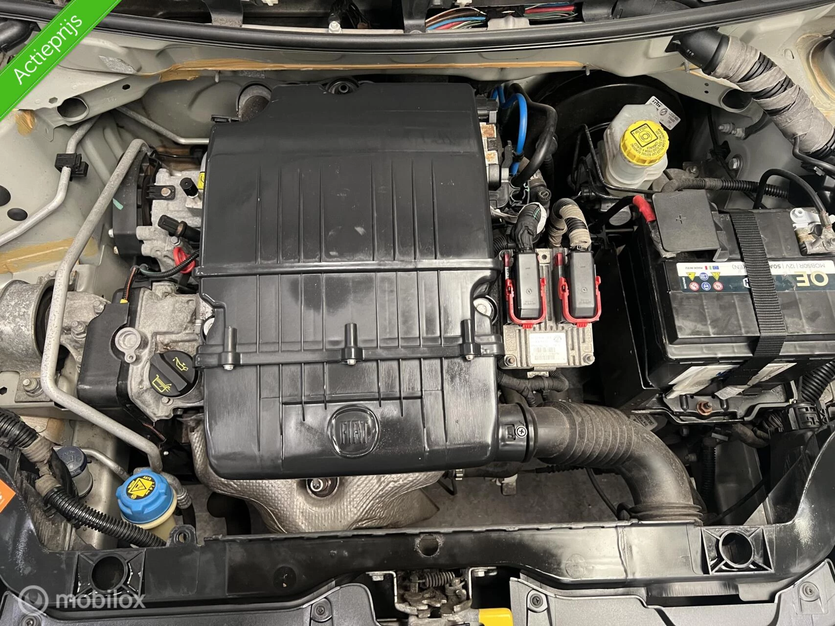 Hoofdafbeelding Fiat Panda