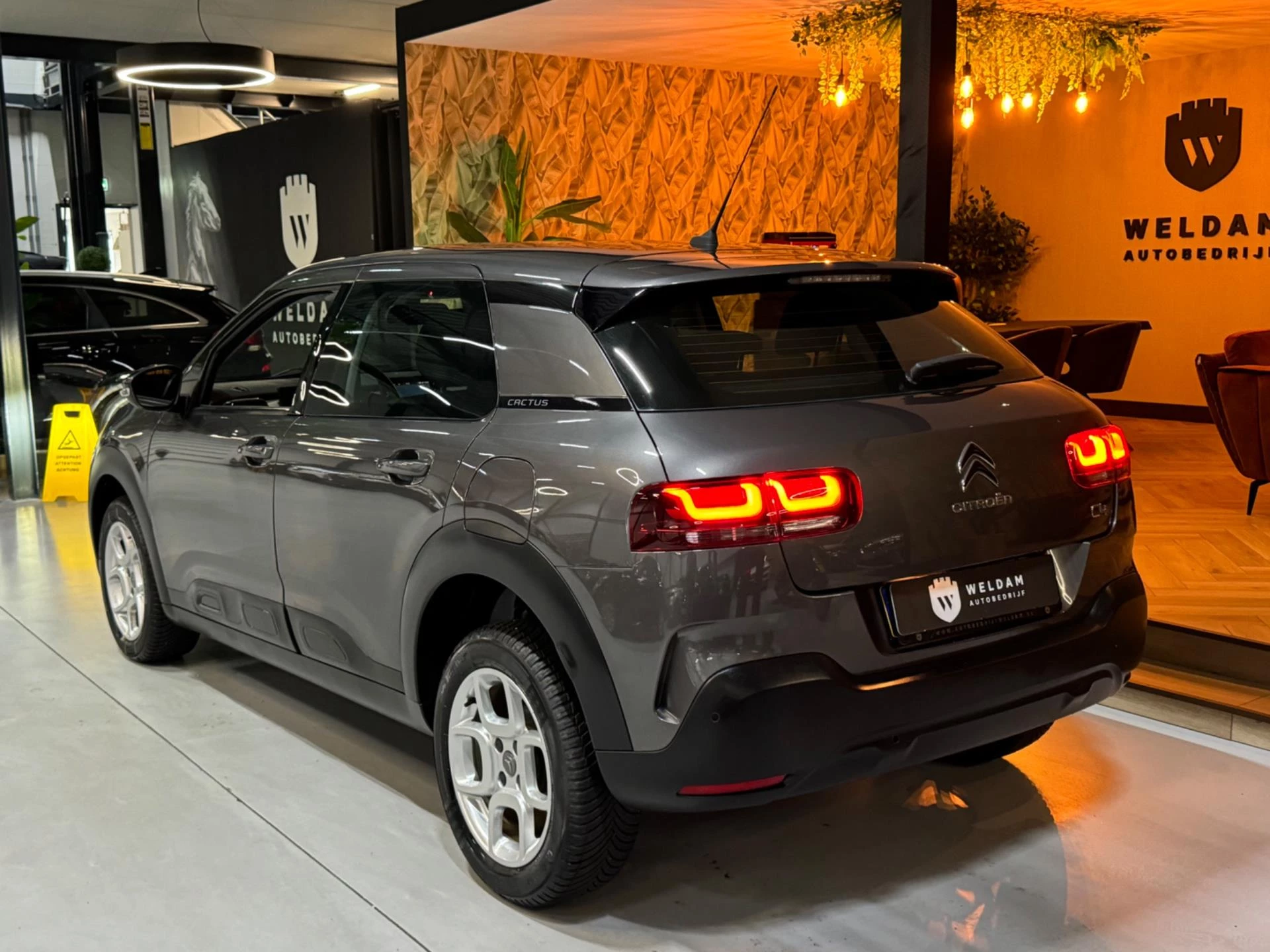 Hoofdafbeelding Citroën C4 Cactus
