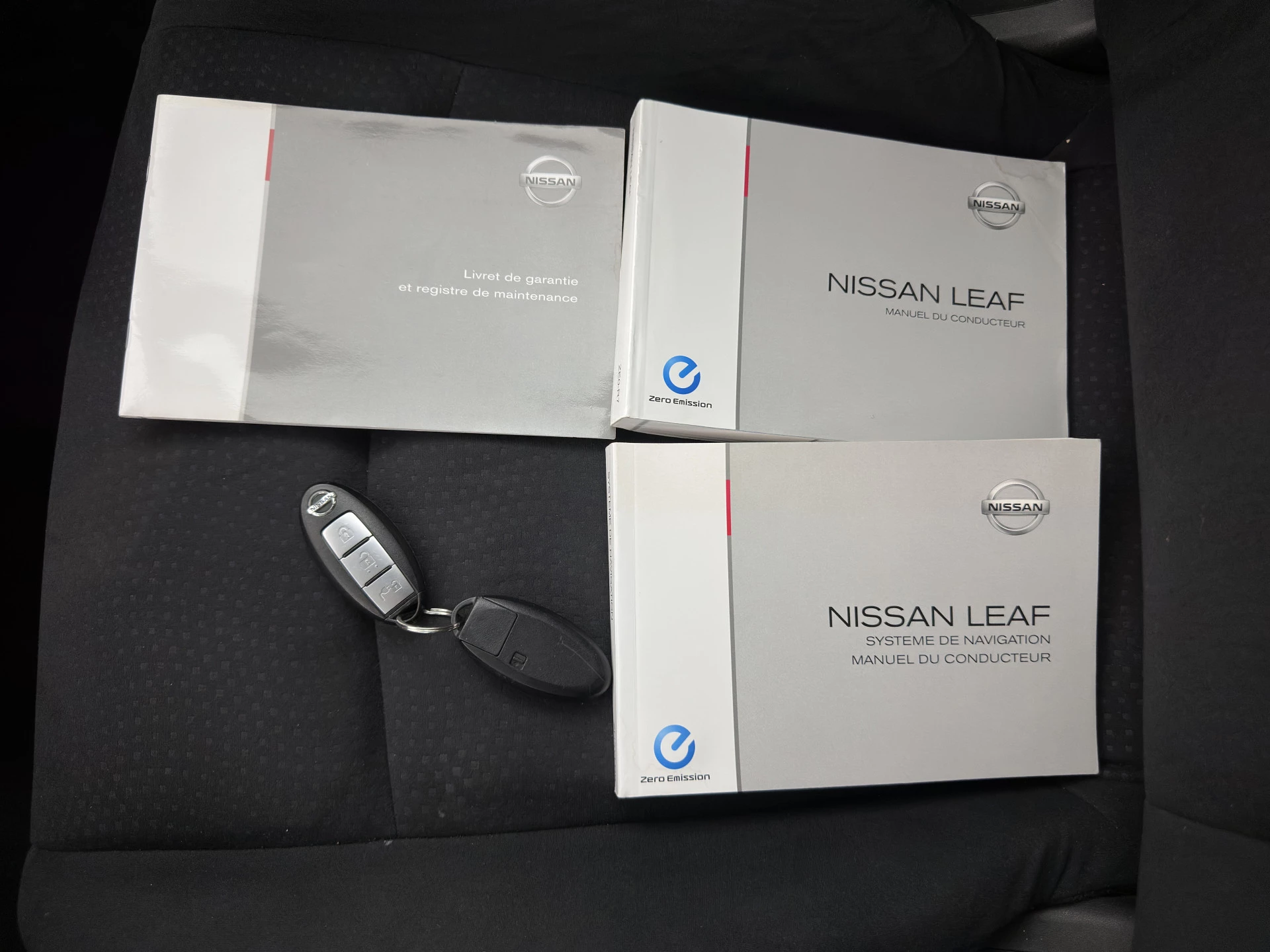 Hoofdafbeelding Nissan Leaf