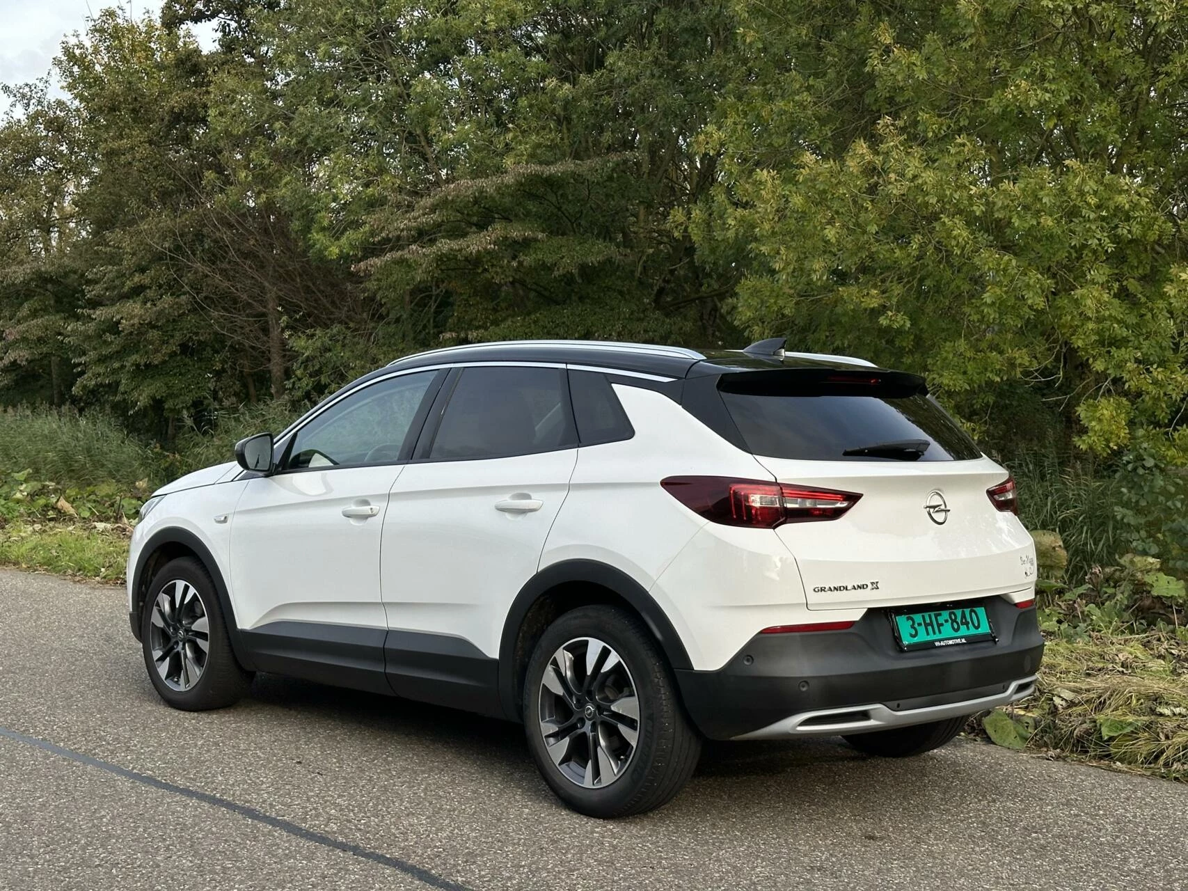 Hoofdafbeelding Opel Grandland X