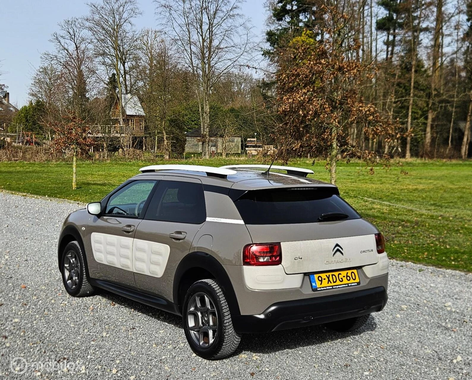 Hoofdafbeelding Citroën C4 Cactus