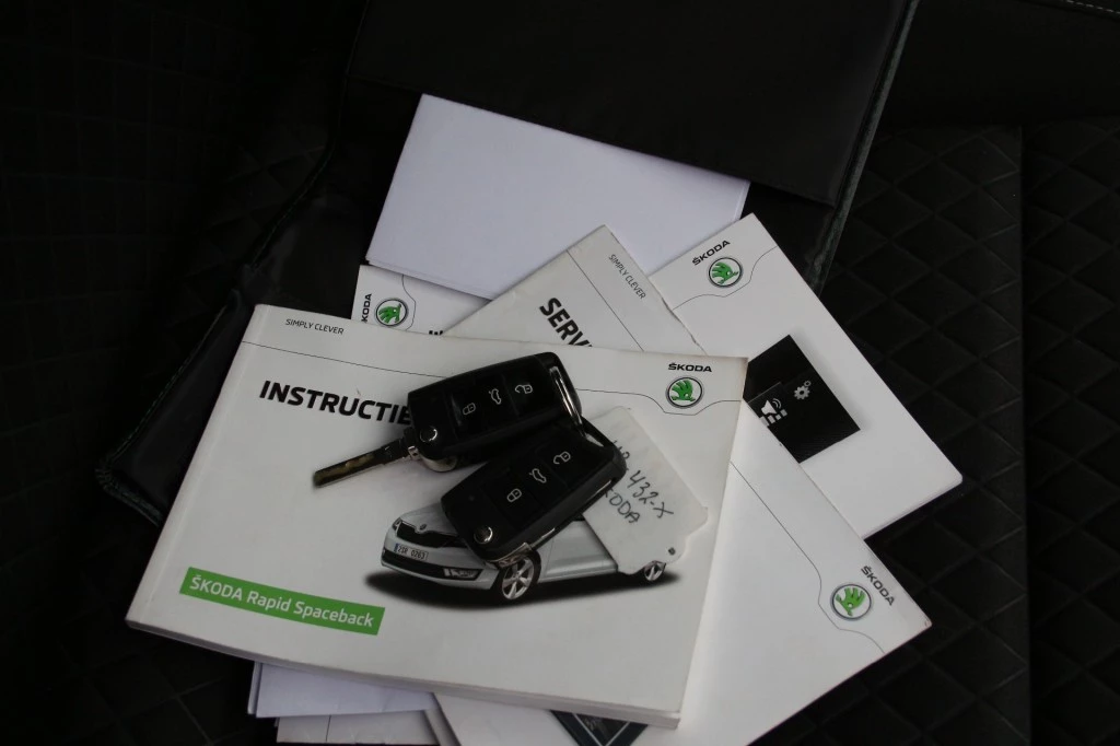Hoofdafbeelding Škoda Rapid