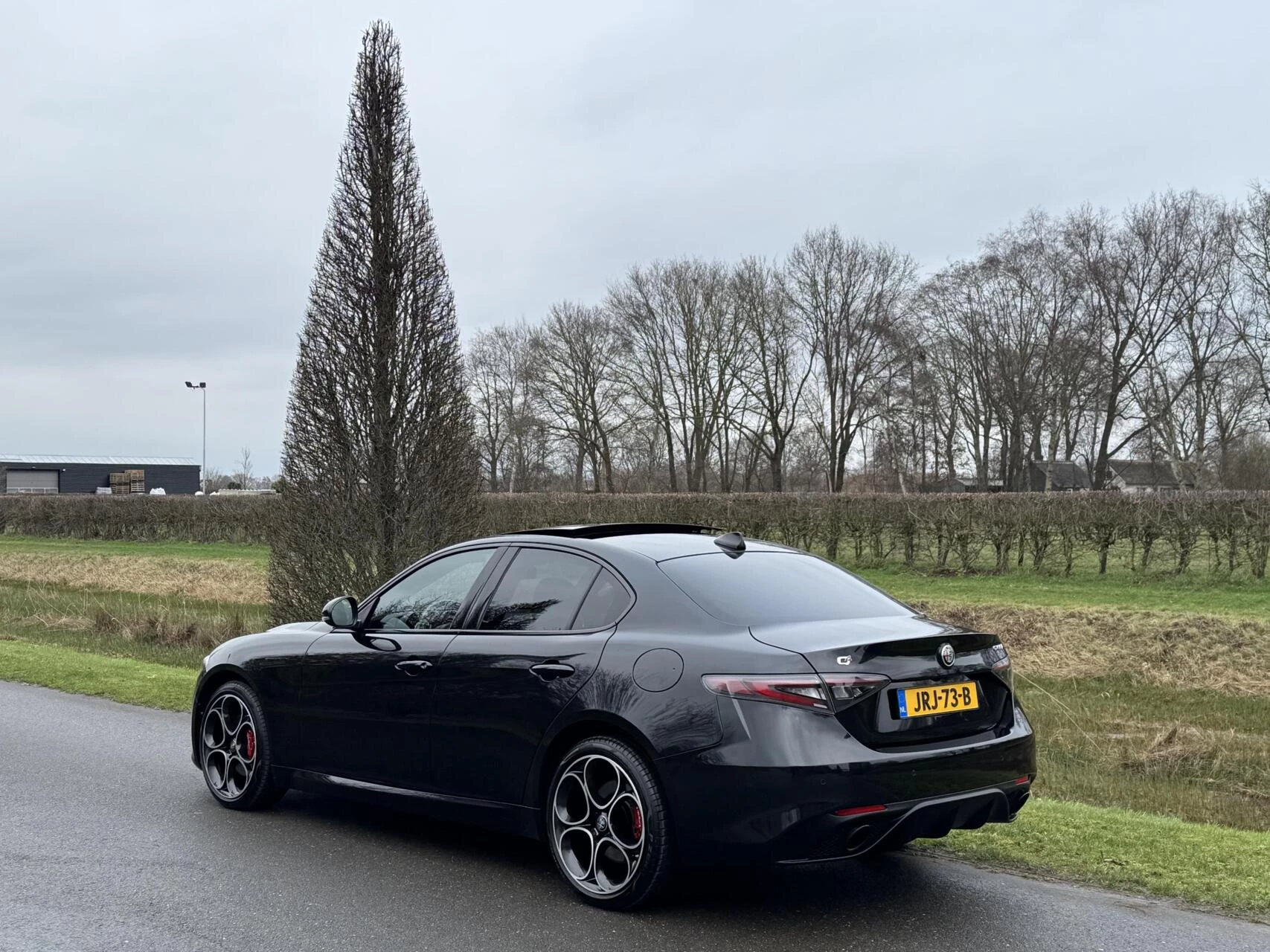 Hoofdafbeelding Alfa Romeo Giulia