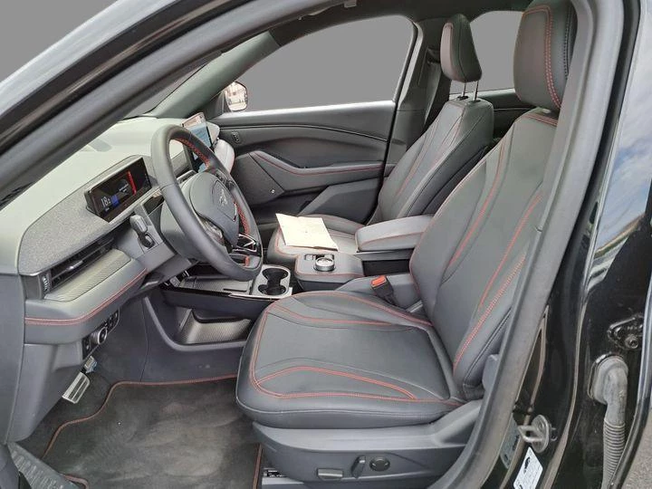 Hoofdafbeelding Ford Mustang Mach-E