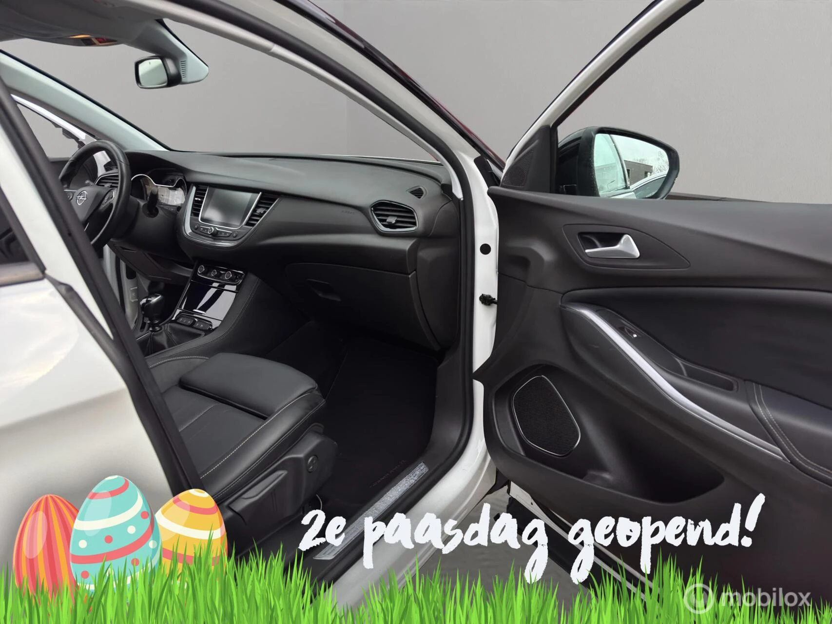 Hoofdafbeelding Opel Grandland X