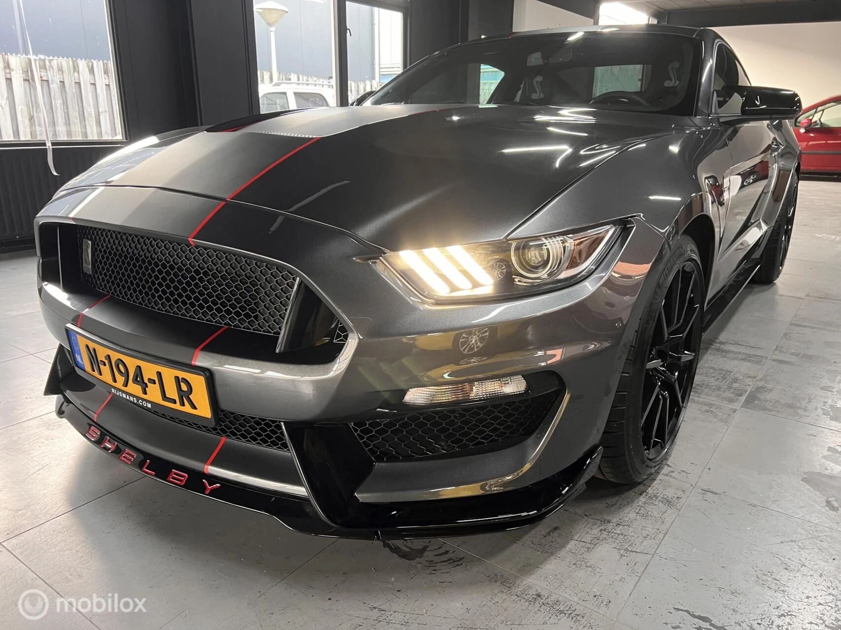 Hoofdafbeelding Ford GT