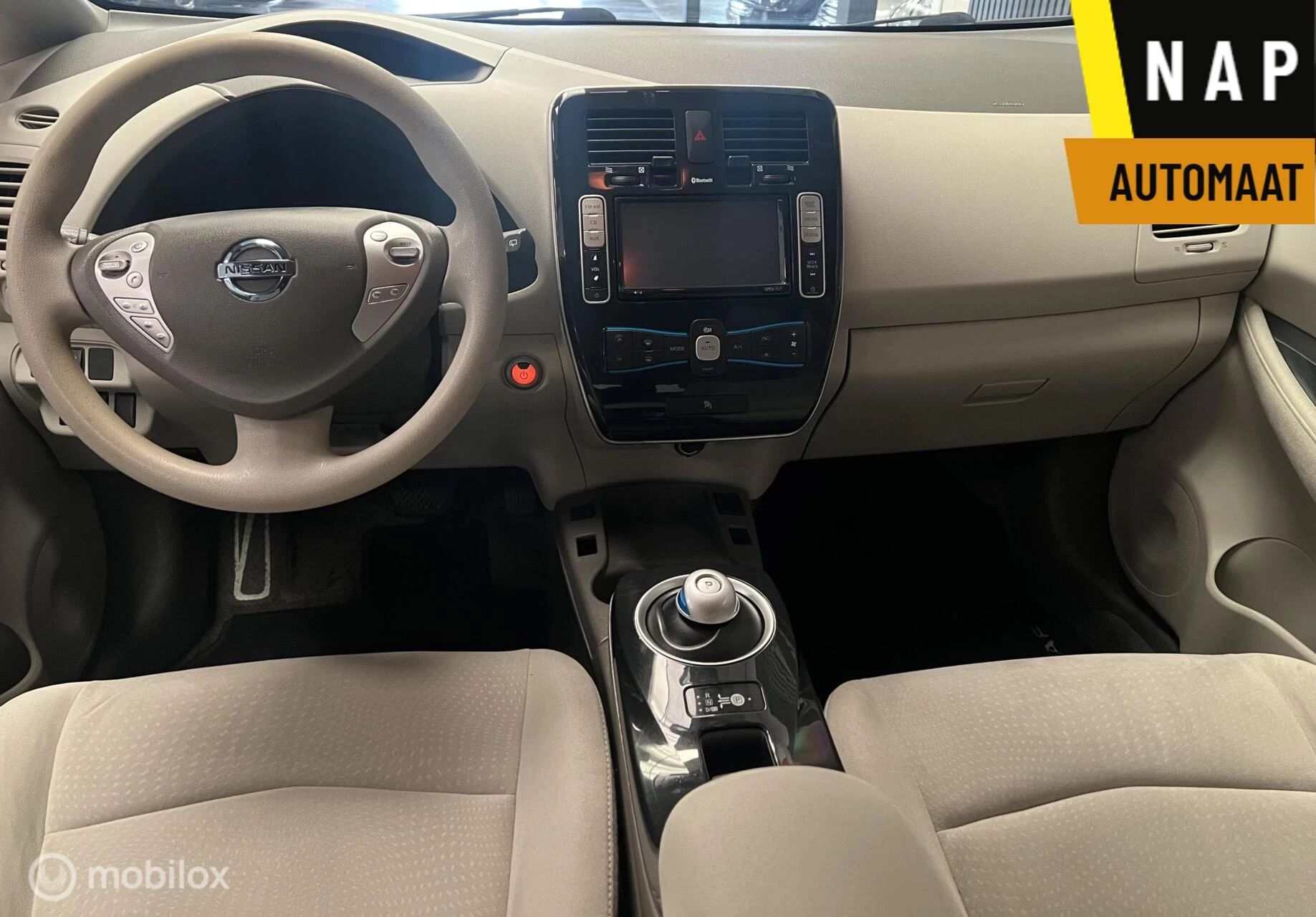 Hoofdafbeelding Nissan Leaf