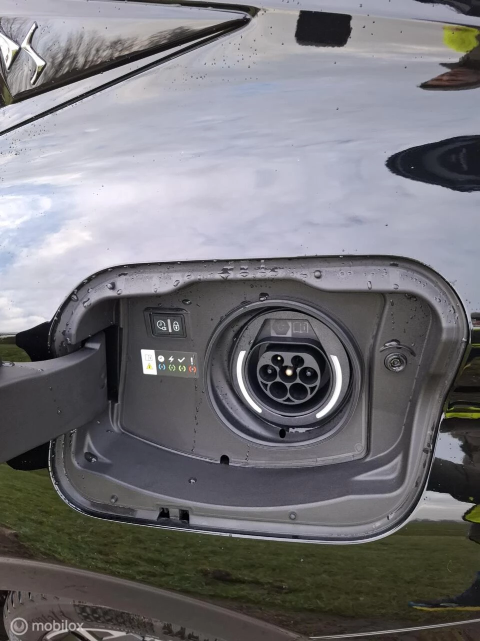 Hoofdafbeelding DS DS 4