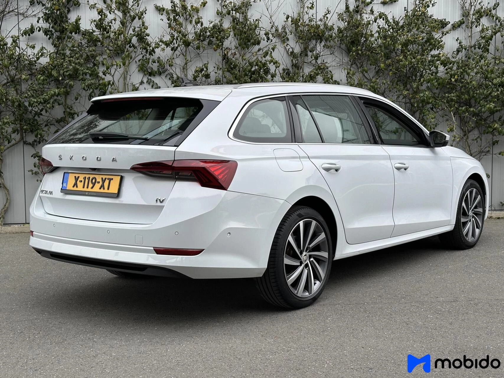 Hoofdafbeelding Škoda Octavia