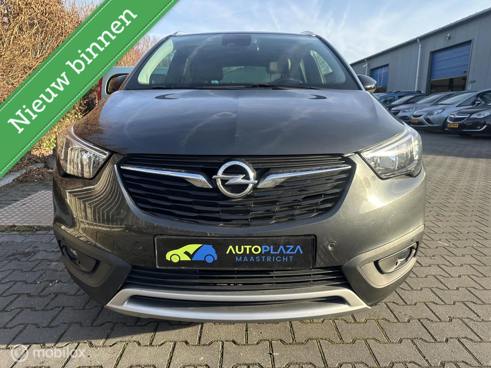 Hoofdafbeelding Opel Crossland X