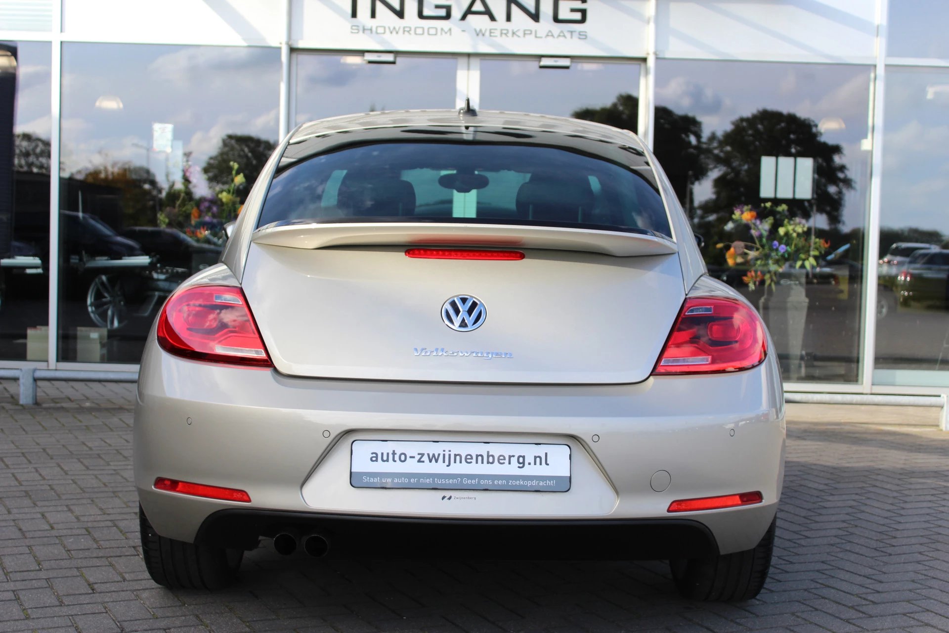 Hoofdafbeelding Volkswagen Beetle