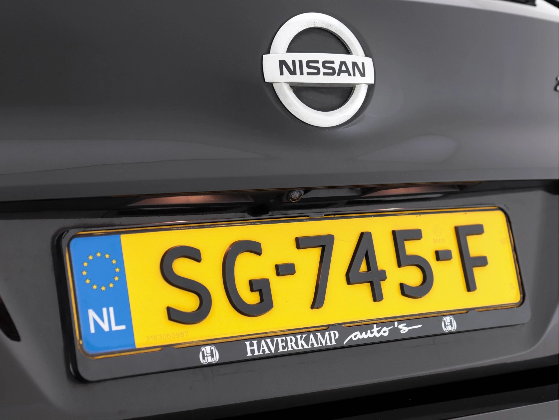 Hoofdafbeelding Nissan Leaf