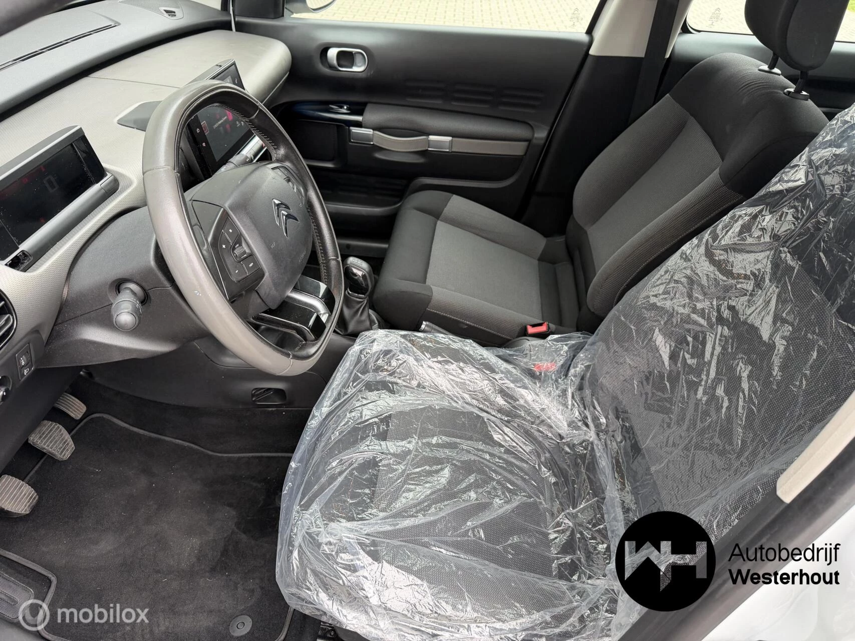 Hoofdafbeelding Citroën C4 Cactus