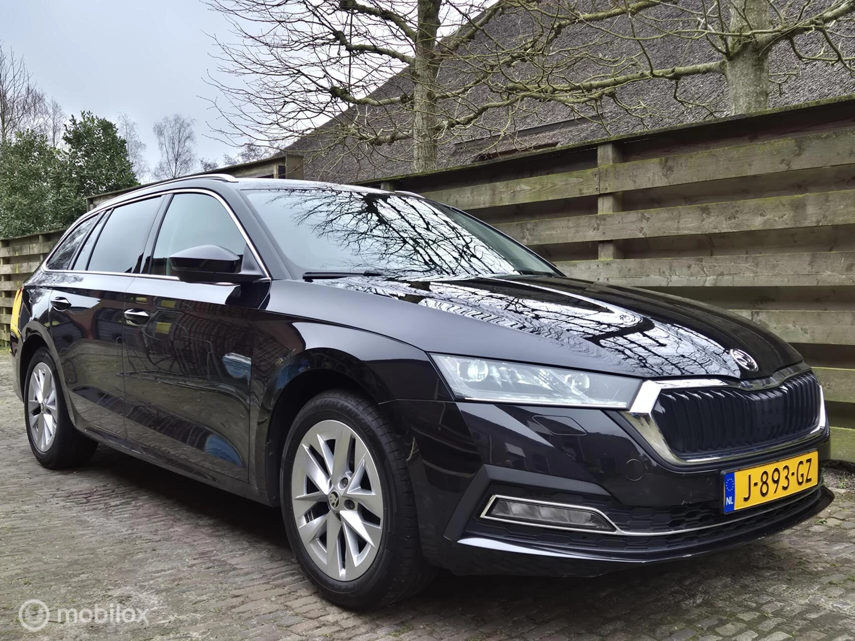 Hoofdafbeelding Škoda Octavia
