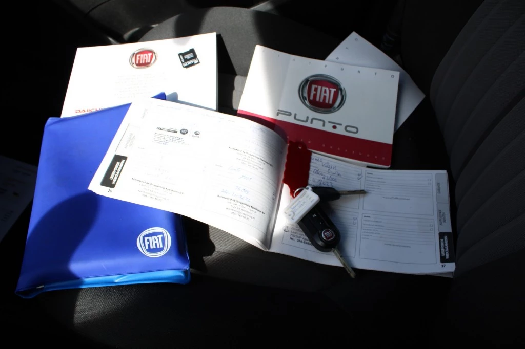 Hoofdafbeelding Fiat Punto