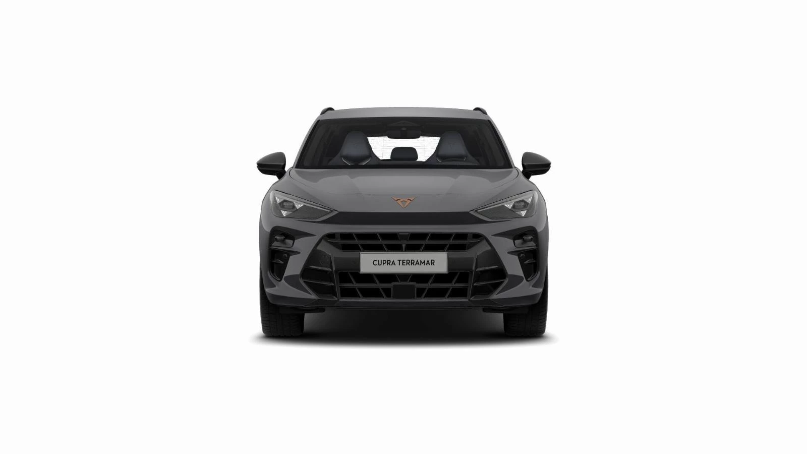 Hoofdafbeelding CUPRA Terramar
