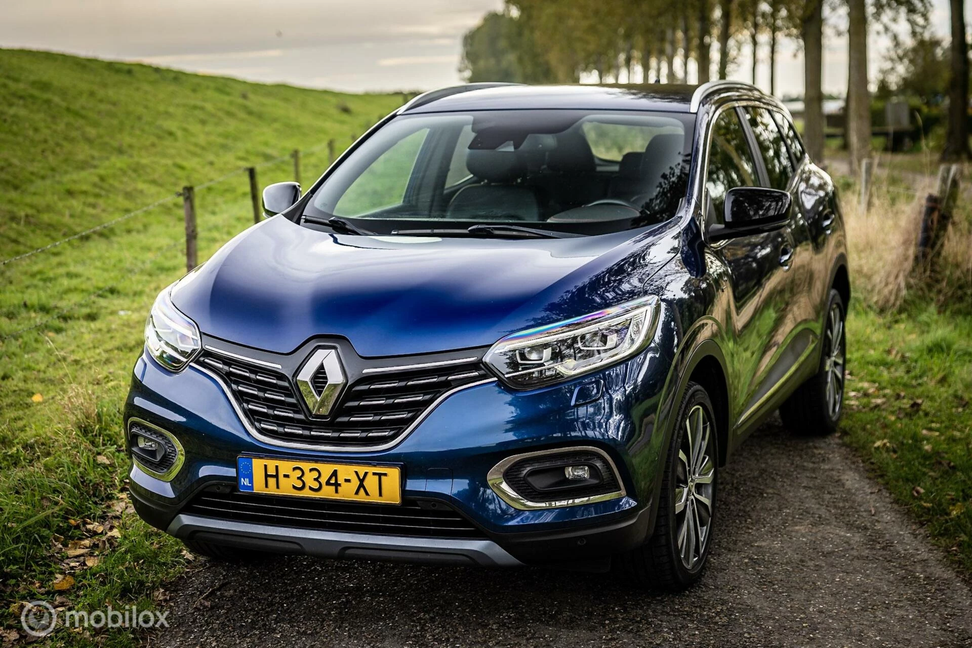 Hoofdafbeelding Renault Kadjar