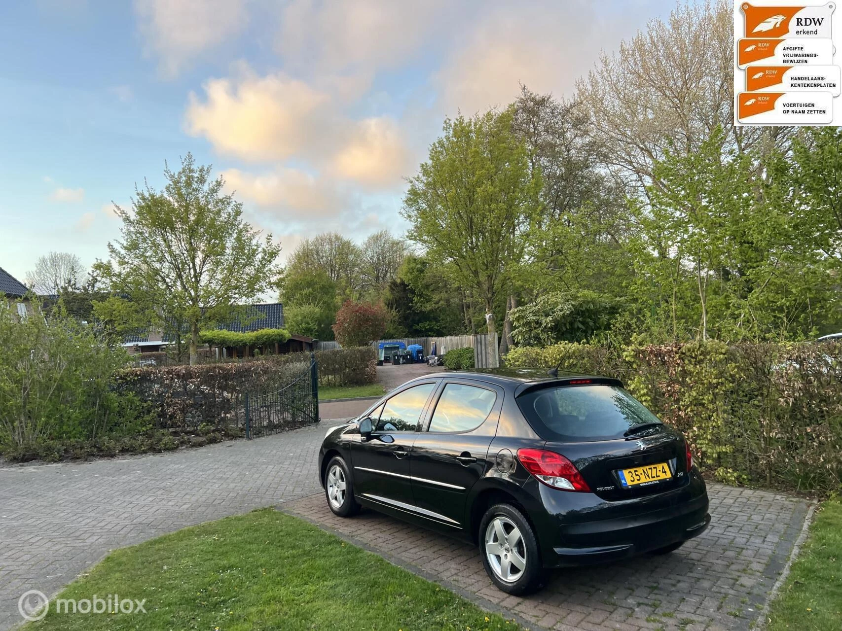 Hoofdafbeelding Peugeot 207