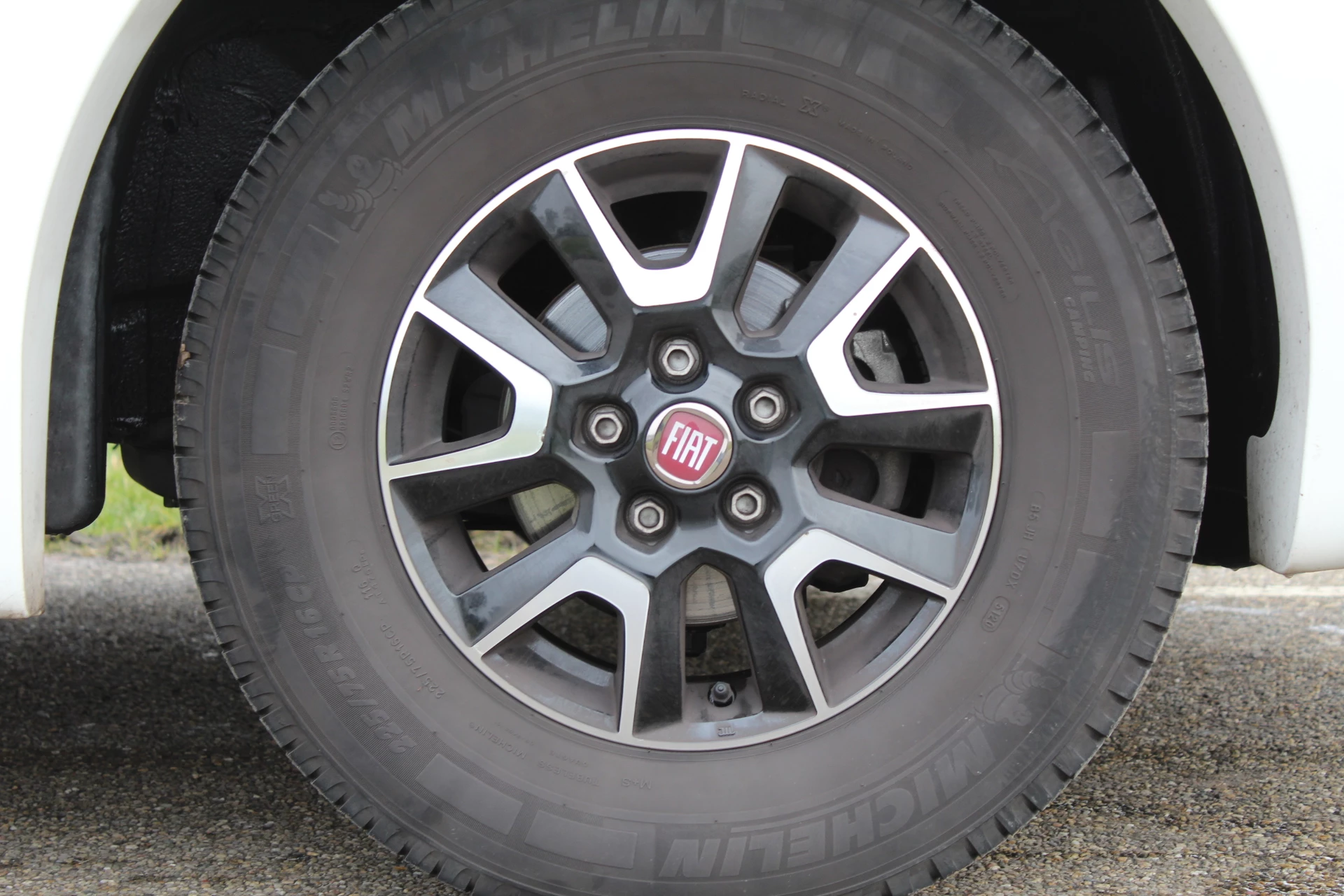 Hoofdafbeelding McLouis YEARLING