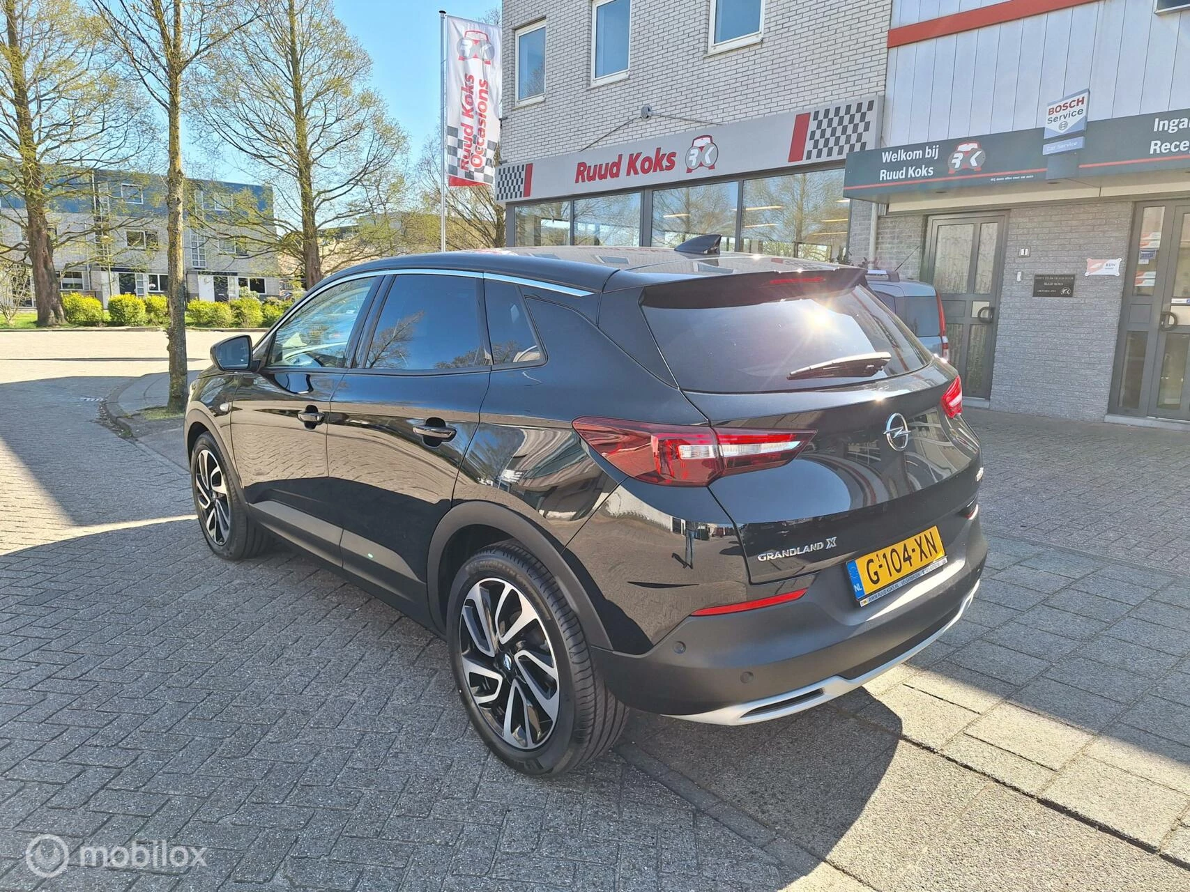 Hoofdafbeelding Opel Grandland X
