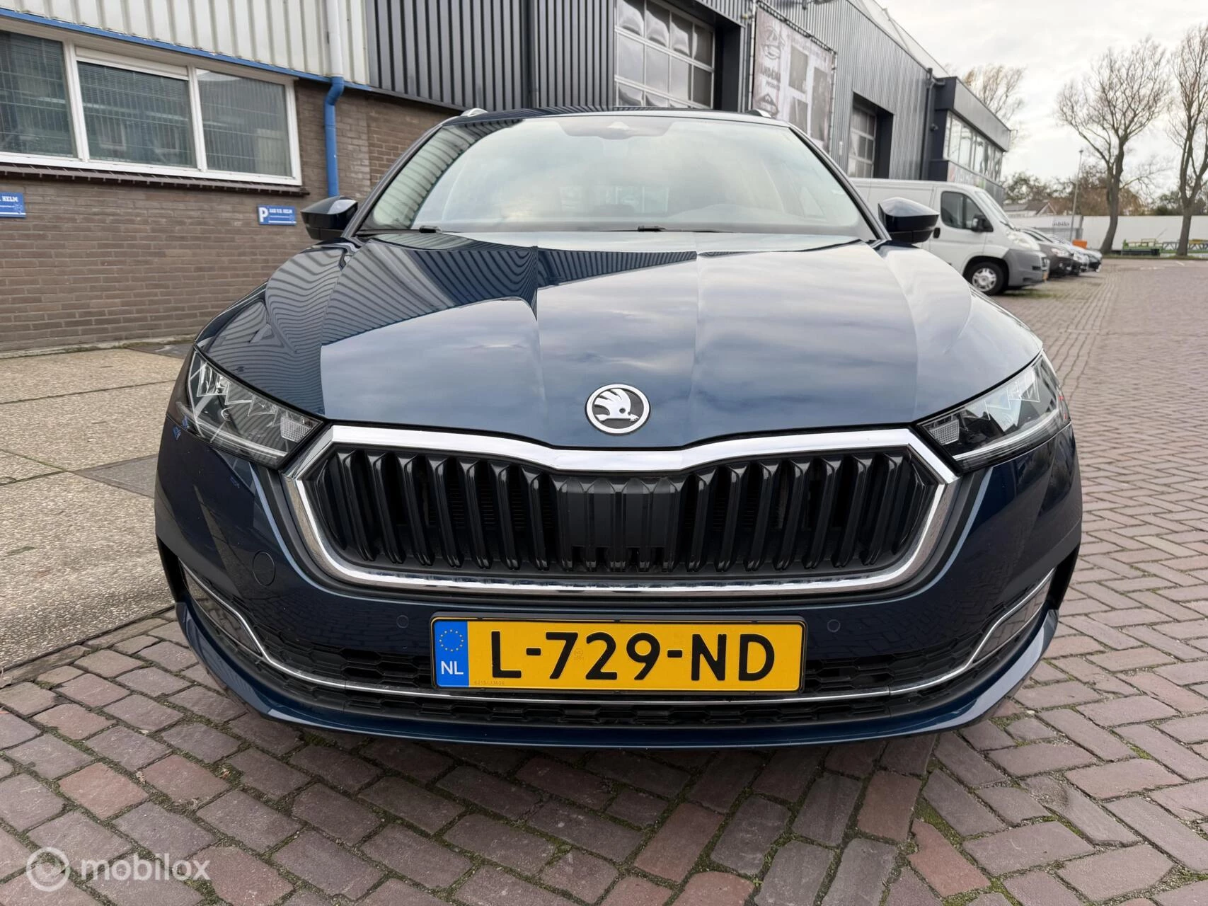 Hoofdafbeelding Škoda Octavia