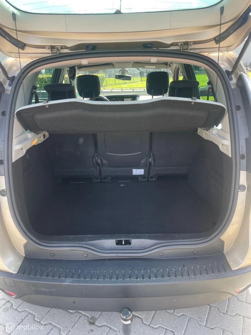 Hoofdafbeelding Renault Scénic