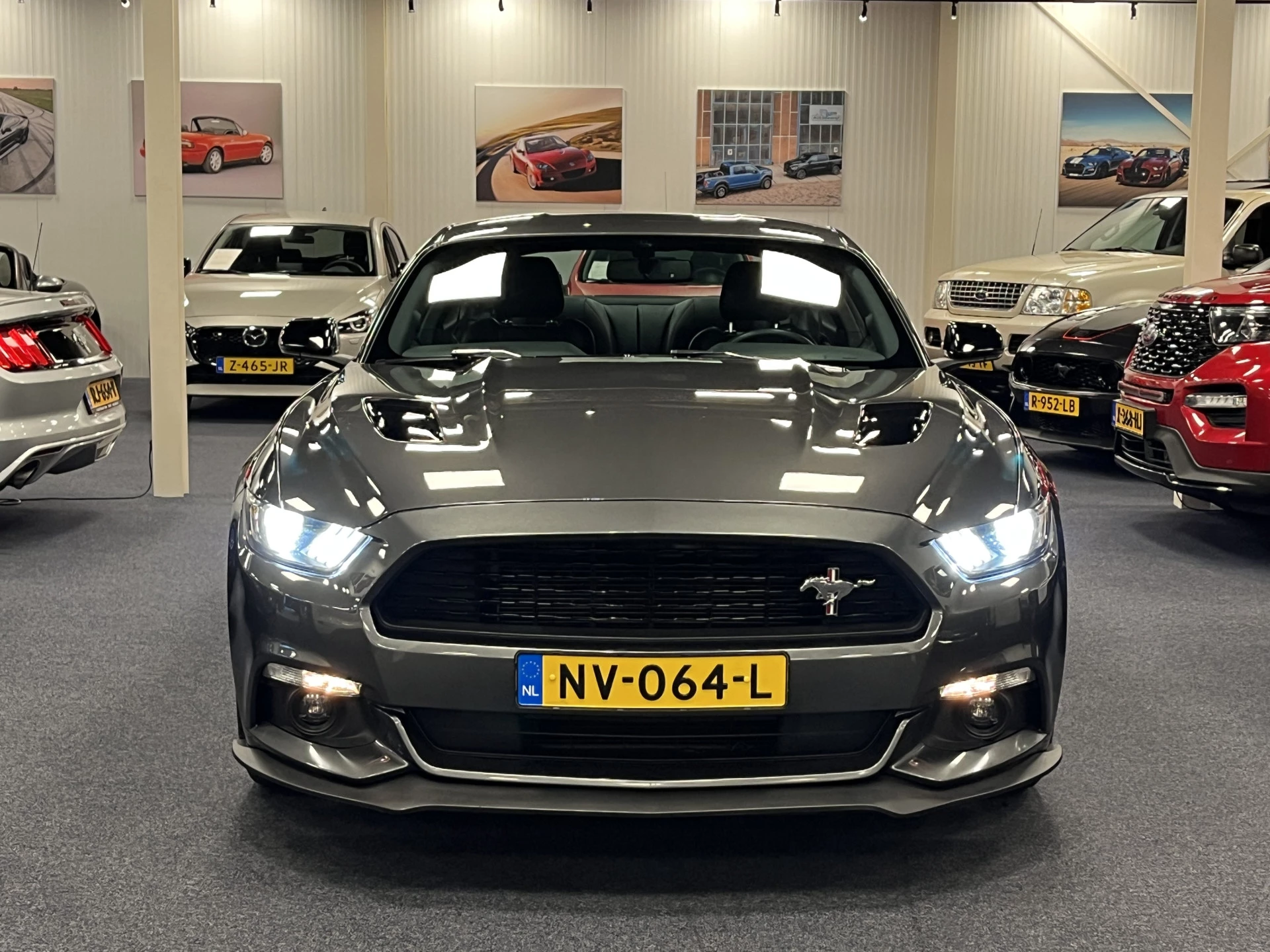 Hoofdafbeelding Ford Mustang