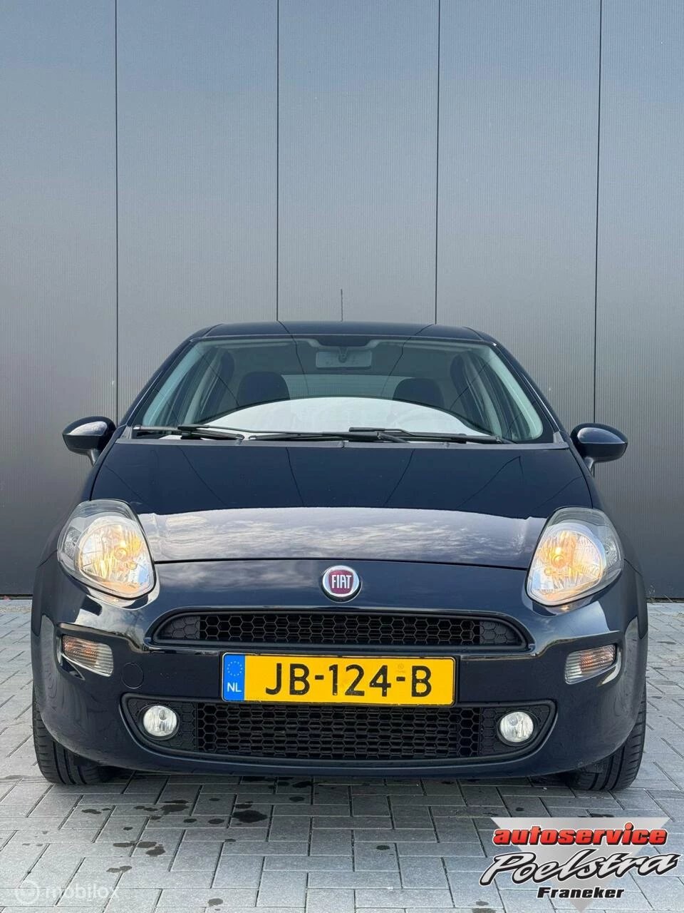 Hoofdafbeelding Fiat Punto