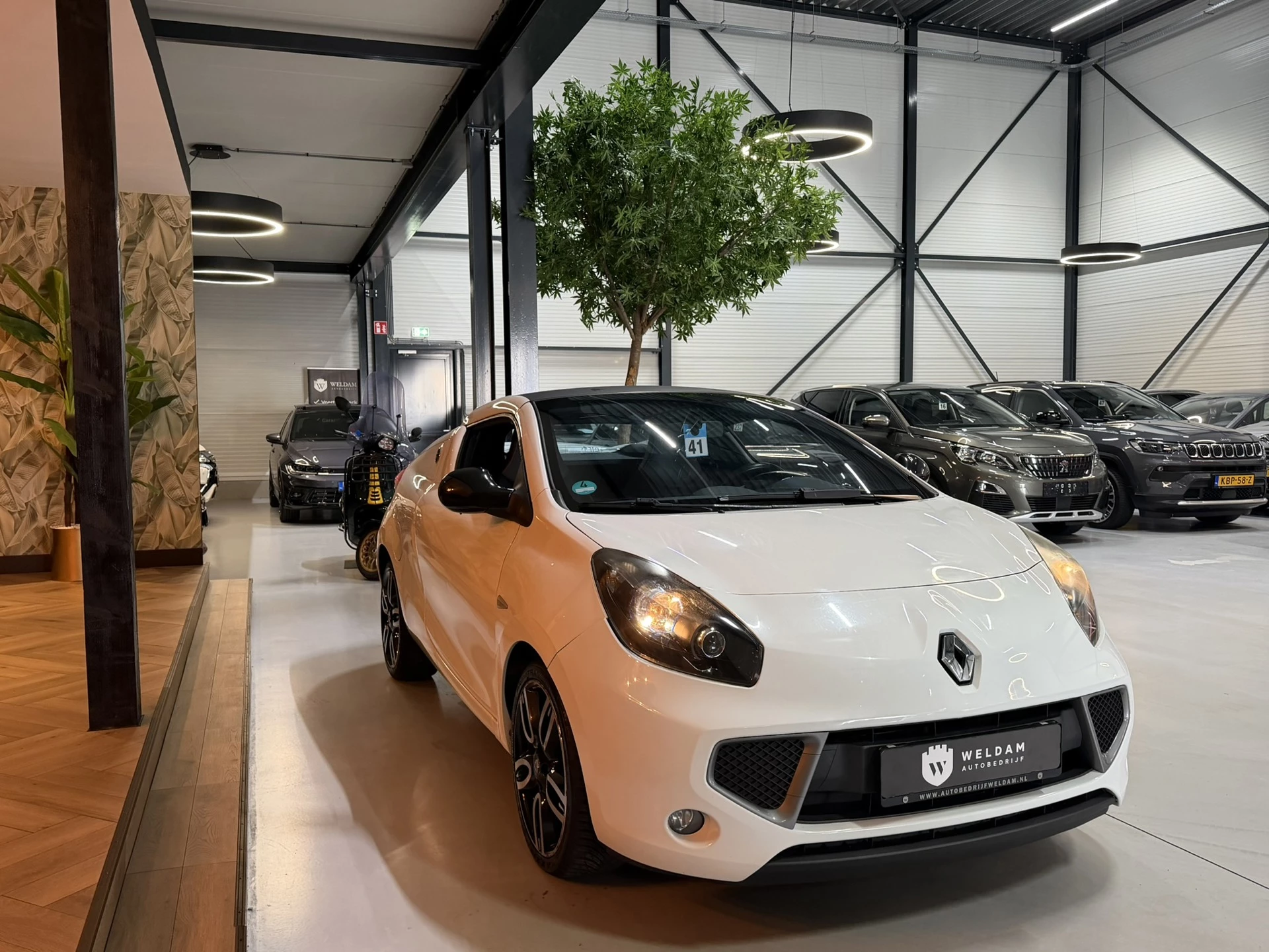 Hoofdafbeelding Renault Wind