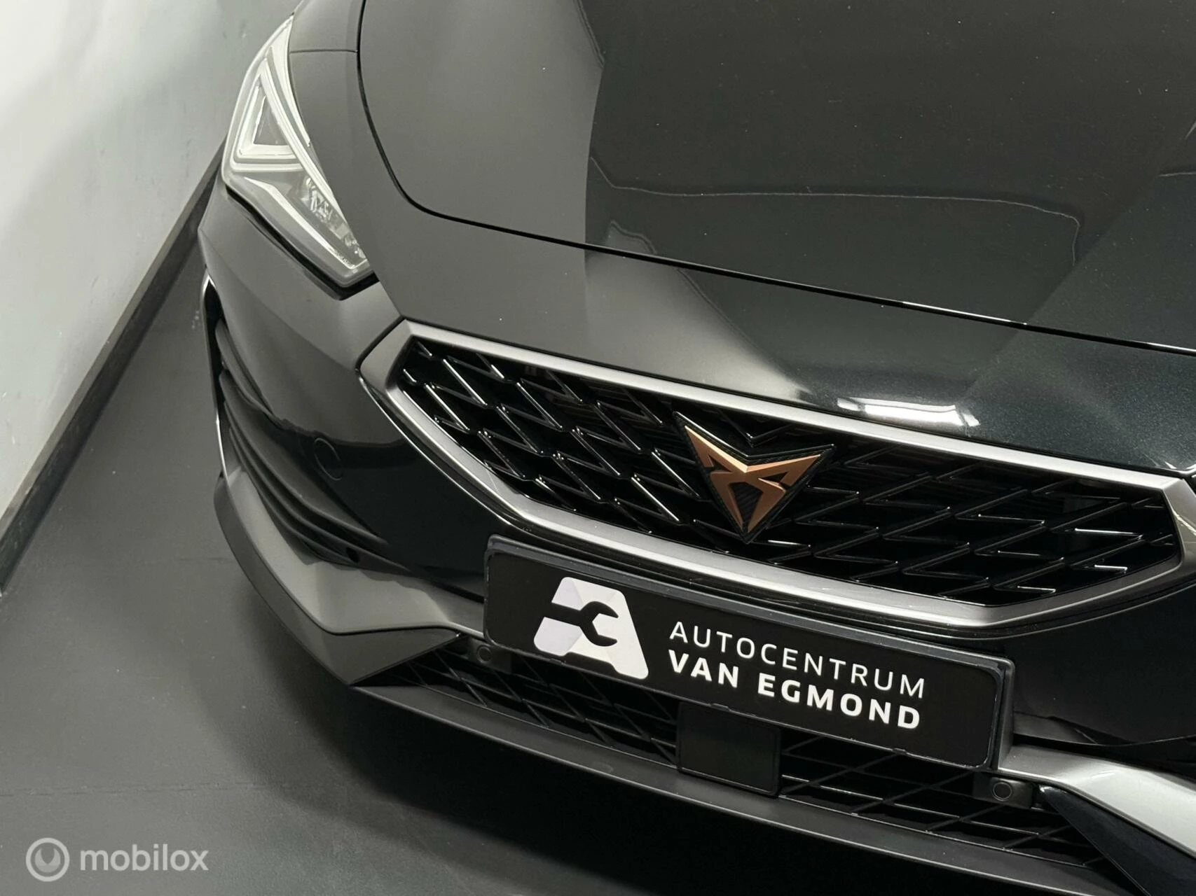 Hoofdafbeelding CUPRA Leon Sportstourer